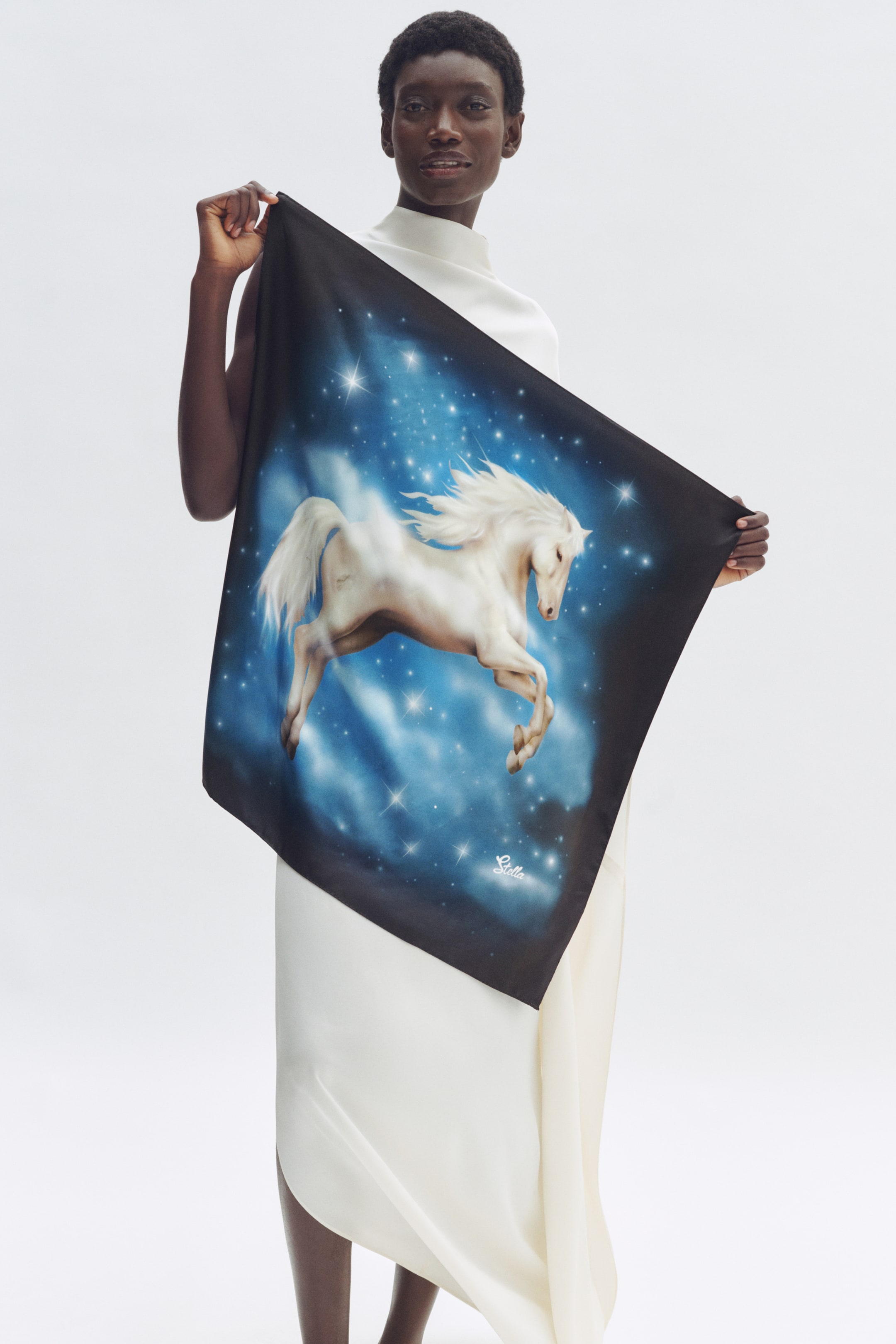 Printed Silk Scarf