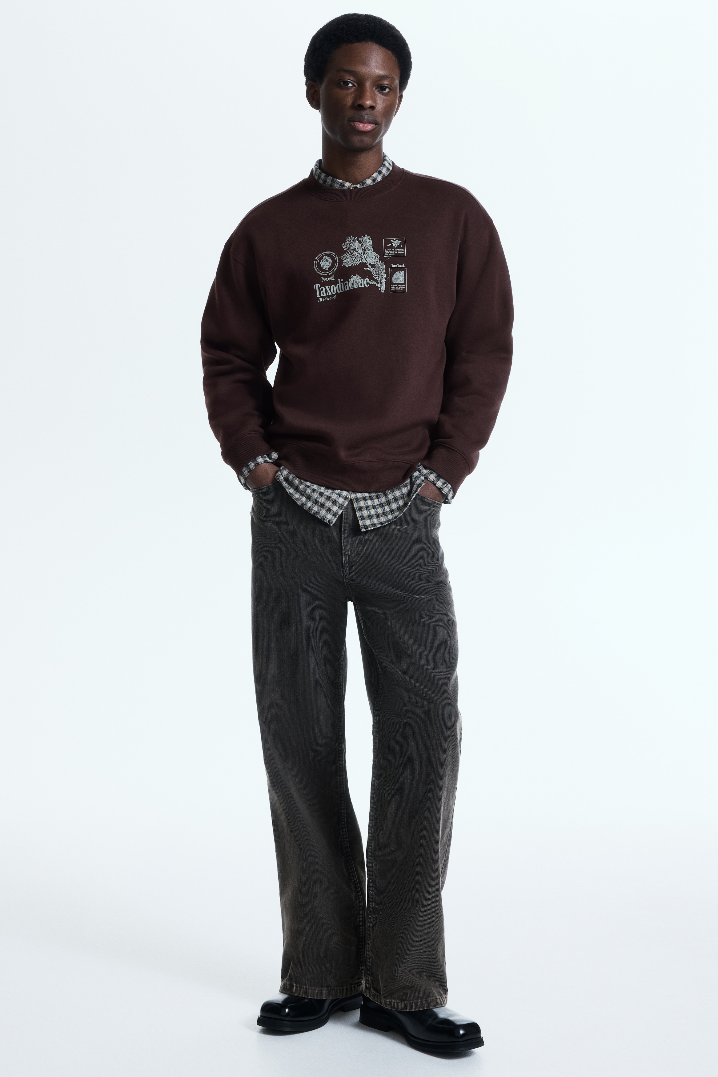 Φούτερ Loose Fit με στάμπα - Σκούρο καφέ/Taxodiaceae/Μαύρο/Karma Alarm/Λευκό/φυτά/Μαύρο/Star MMX