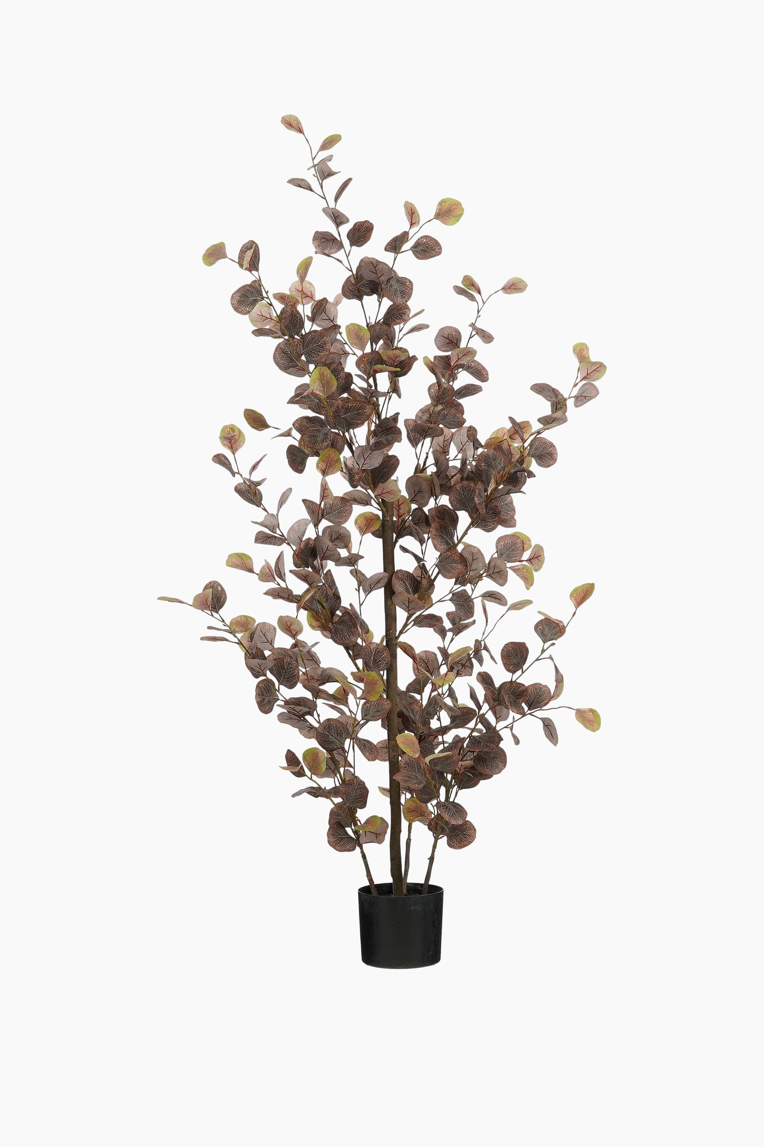 Mica Decorations - Planta Artificial De Eucalipto - Bronce