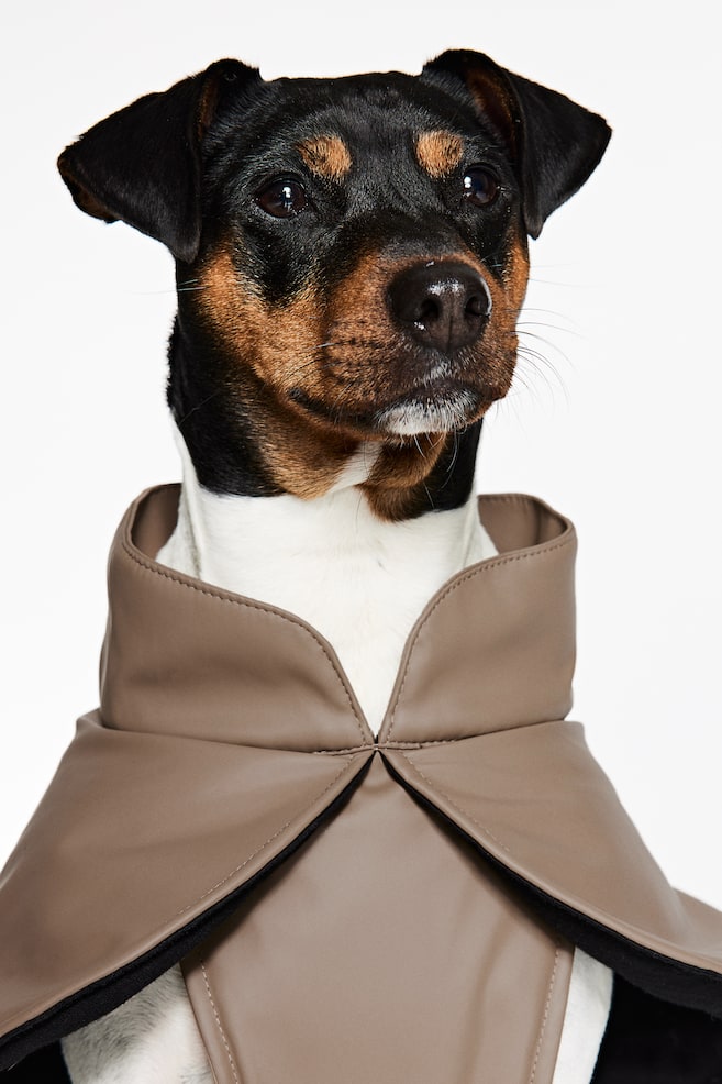 Coated dog jacket - Brown - 1