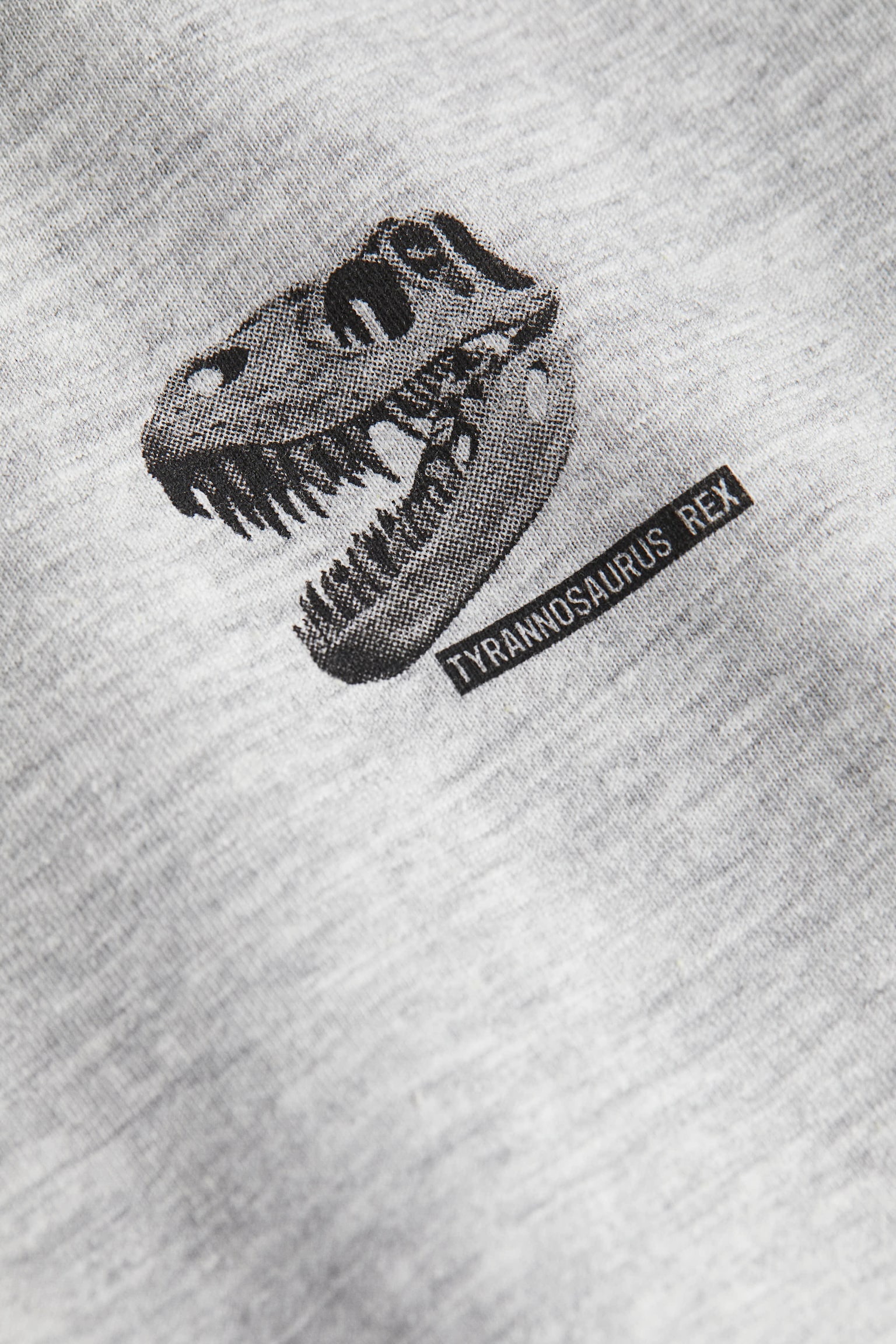 Cotton T-shirt - Grey marl/T.rex/White/Black/Blue/Dark beige/Striped - 2