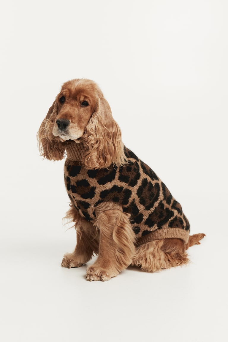 Żakardowy sweter dla psa