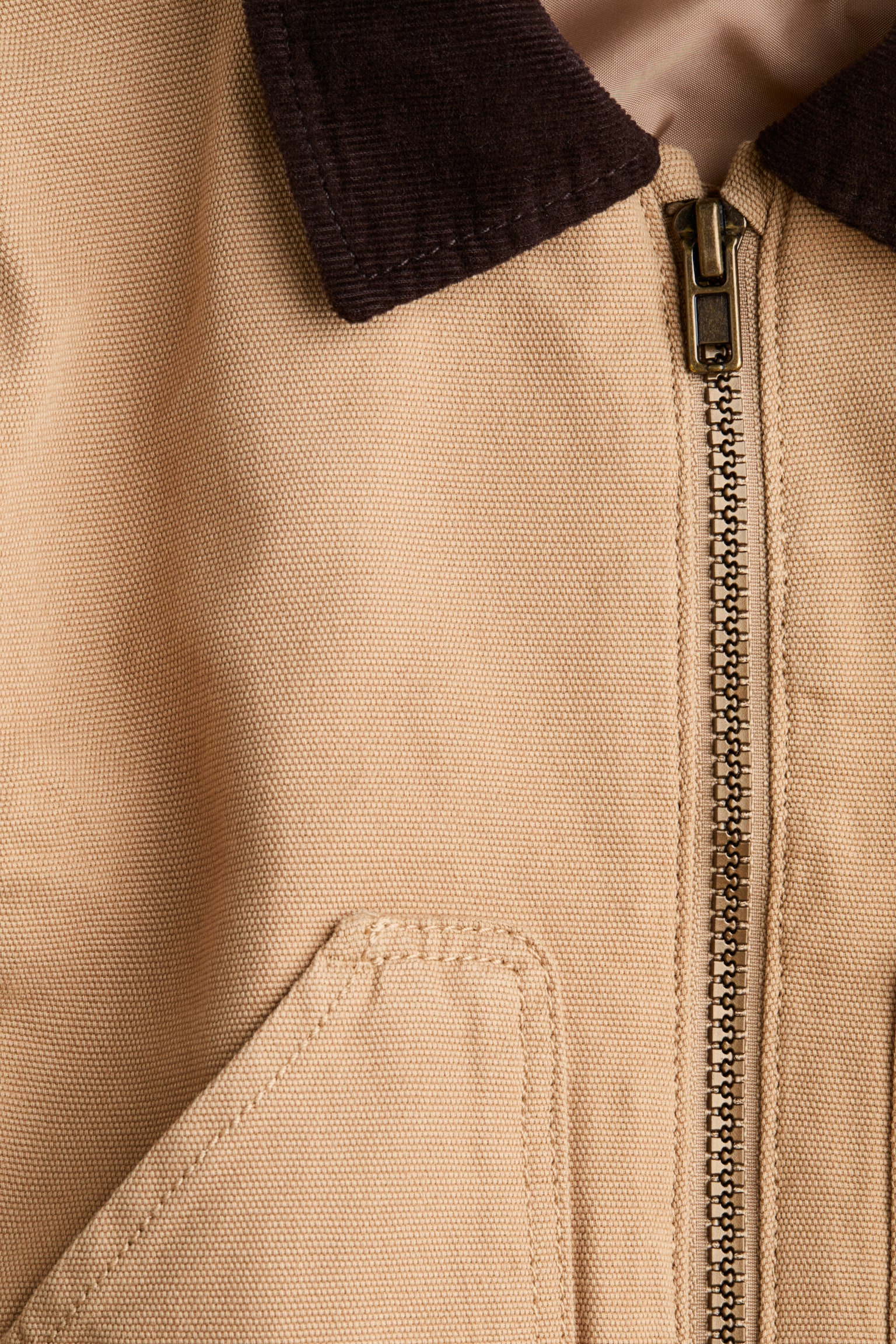Corduroy-collar canvas jacket - Beige/Dark brown - 5