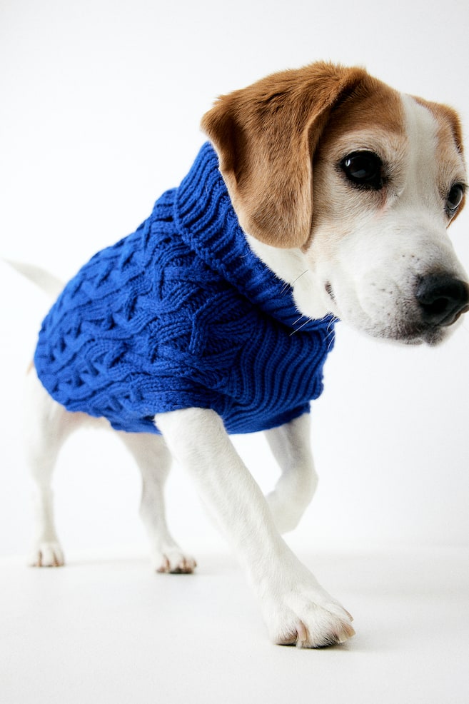 Cable-knit dog jumper - Bright blue/Light beige/Grey marl/Red - 1