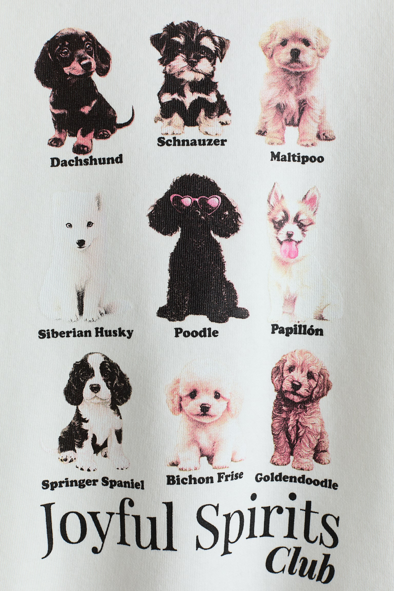 Motif-detail sweatshirt - White/Puppies/Light grey/Halloween Academy/Mint green/Star/Light grey marl/Paris/Blue/Colorado/Black/Palermo/Light pink/Cherries/Light grey marl/Flower Moments/Powder pink/Stay Ghostly - 2