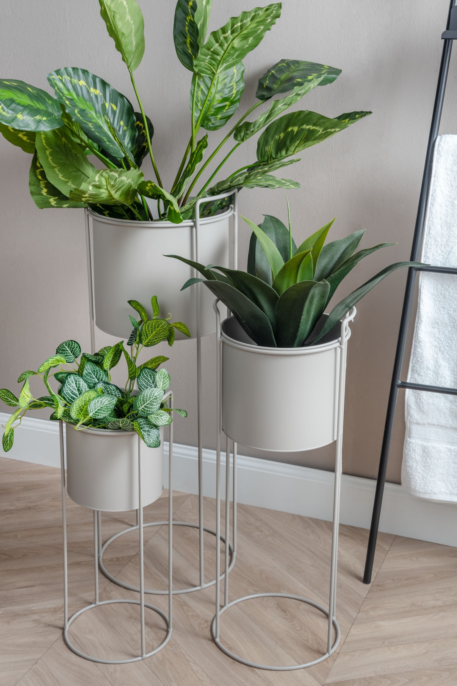 Essence Pot De Fleurs - Gris Chaud/Noir/Vert Jungle - 3