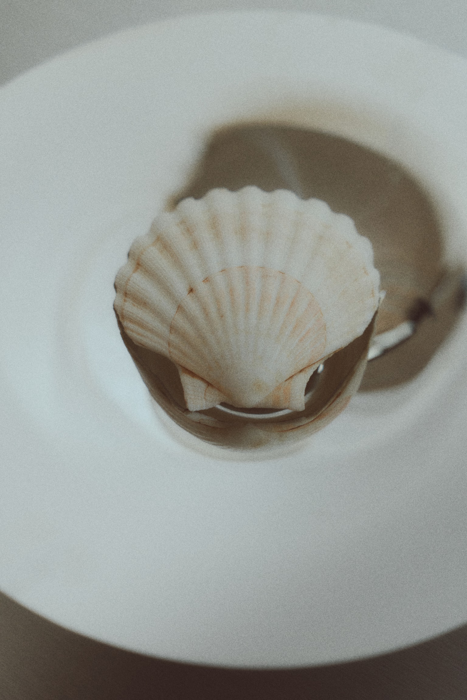 קערה עם רגל מפלדת אל חלד - כסוף - 3