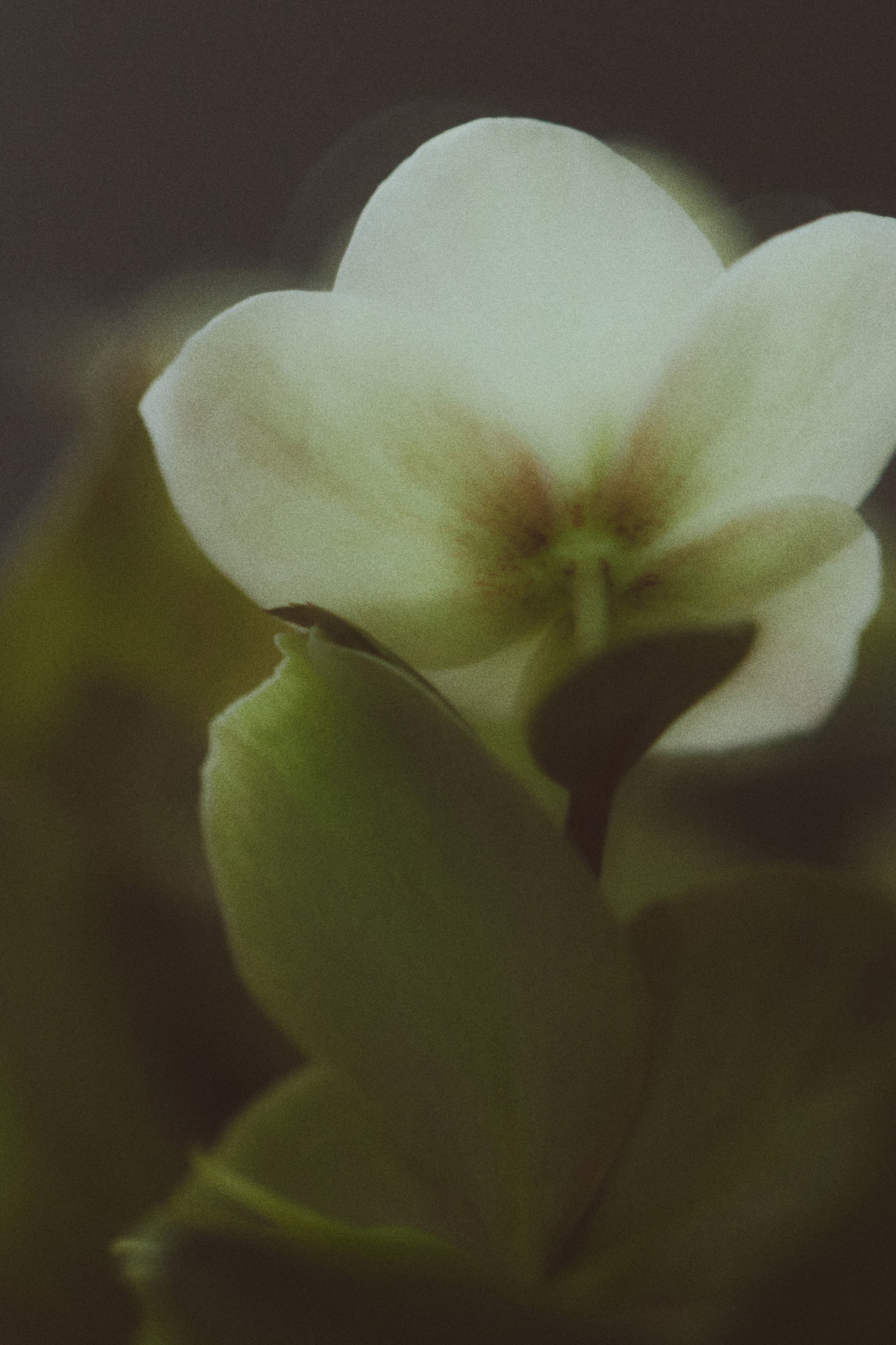 Visa större bild: Låg glasvas - Transparent | H&M SE 2