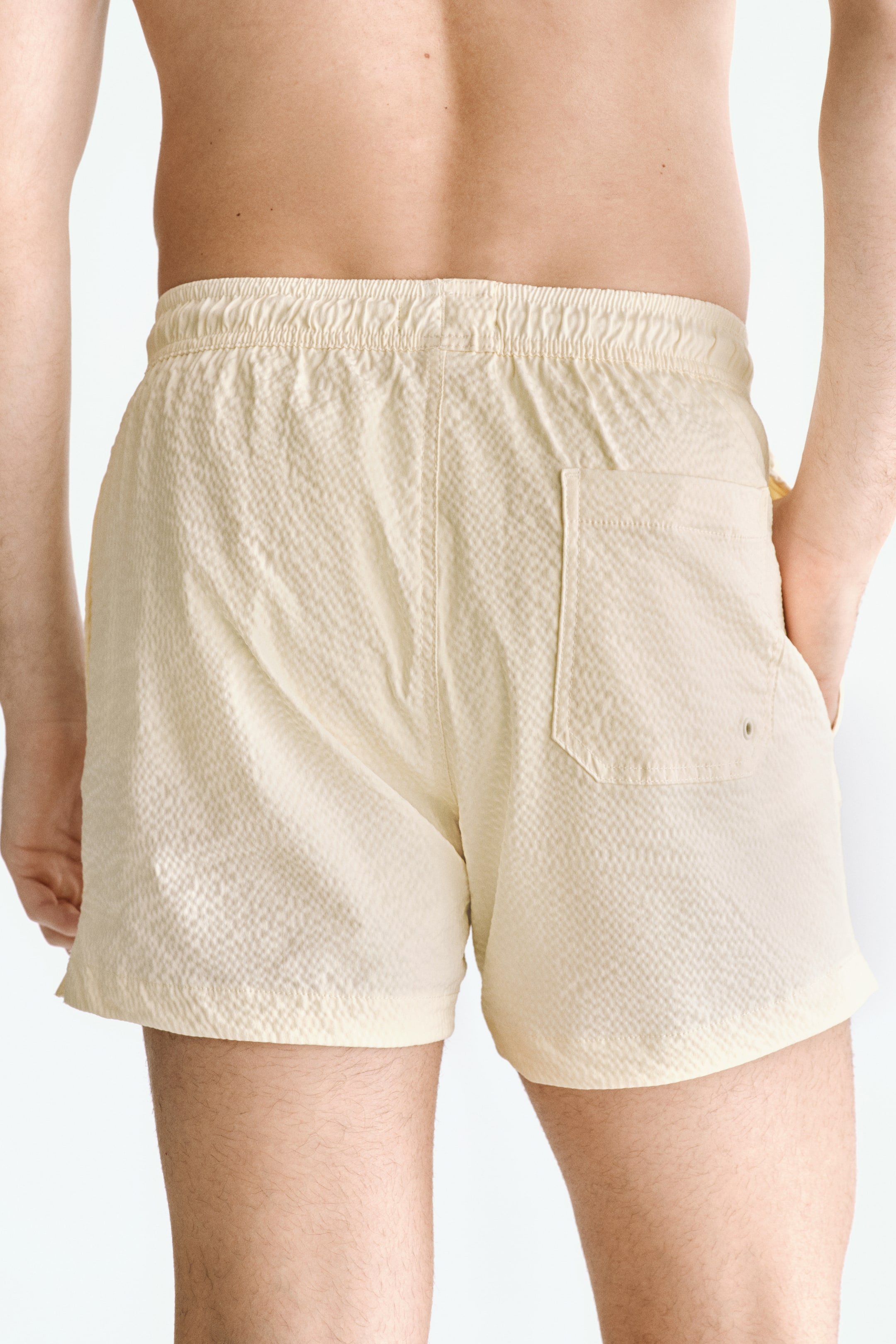 Seersucker Swim Shorts
