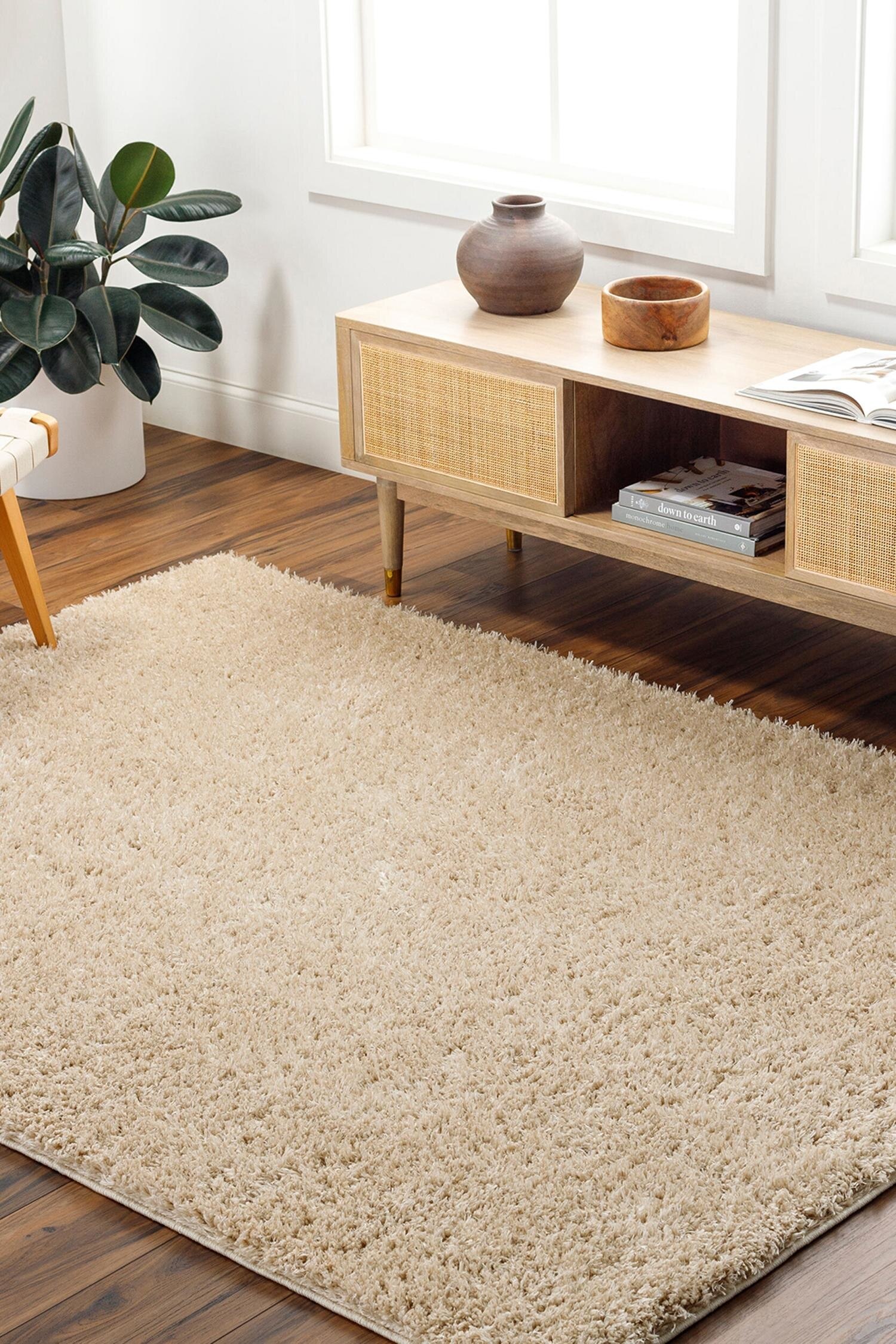 Shaggy Solid Color Plush Pile Area Rug - Beige/White/Green