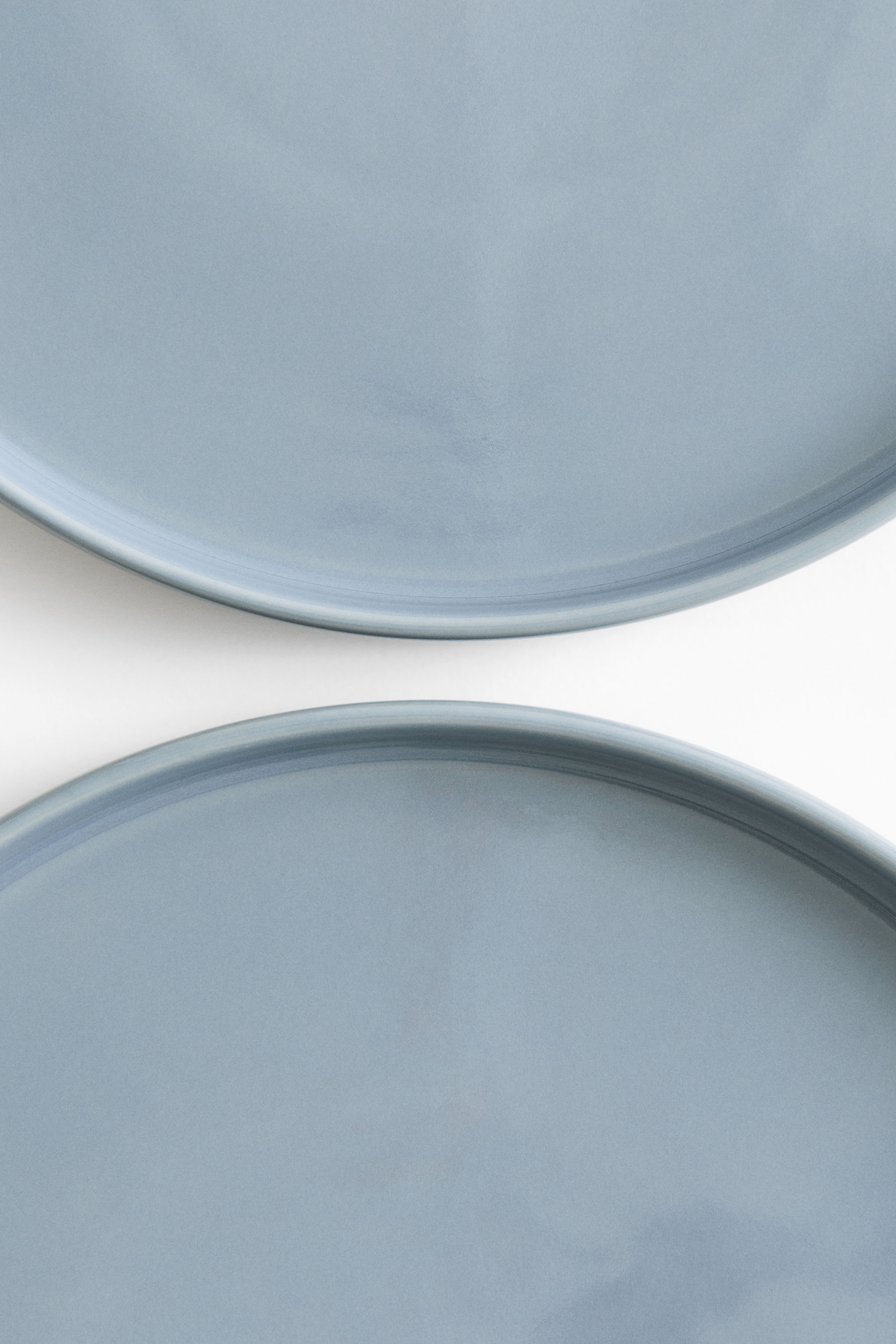 2-Pack Stoneware Dinner Plates