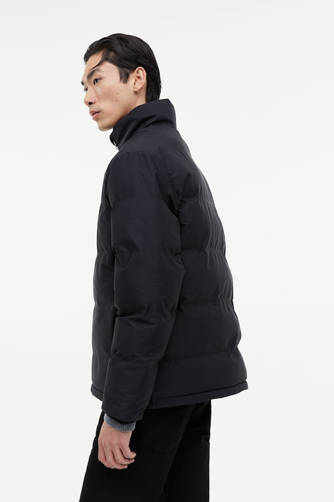 Regular Fit Puffer jacket - Black/Cream - 9