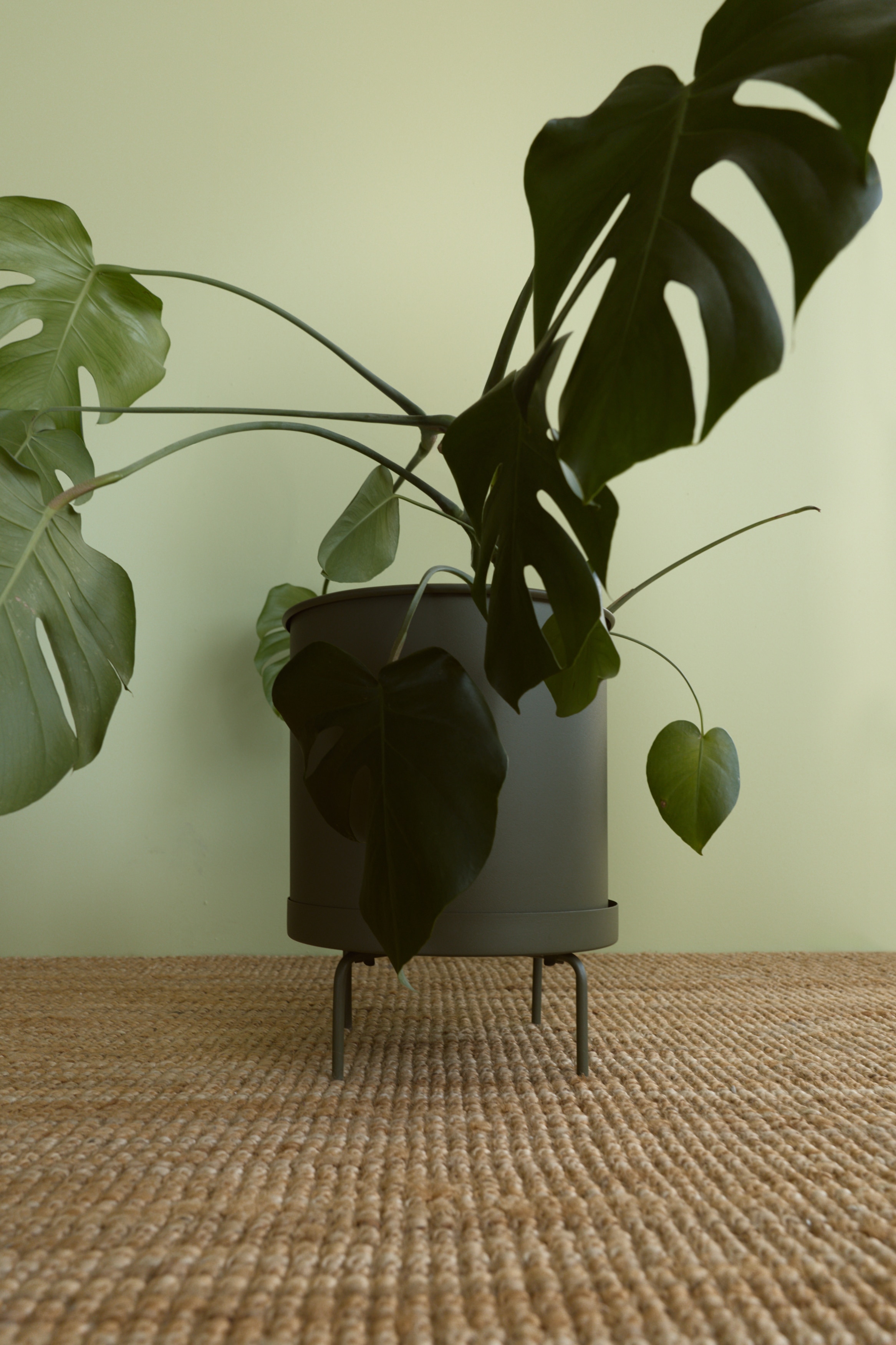 Extra-large plant pot on a stand - Olive green/Light beige/Black