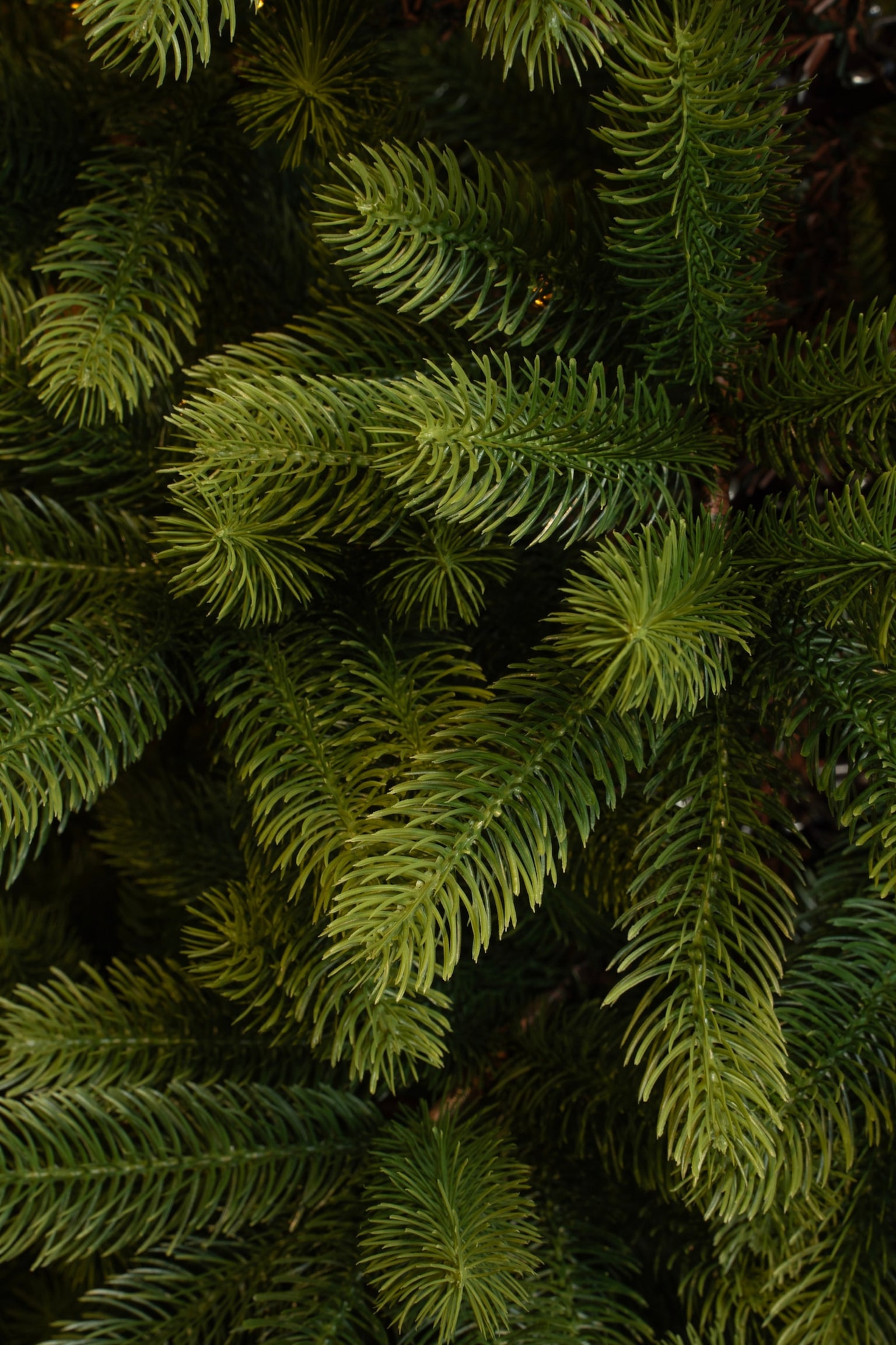 Árbol De Navidad Artificial - Verde - 3