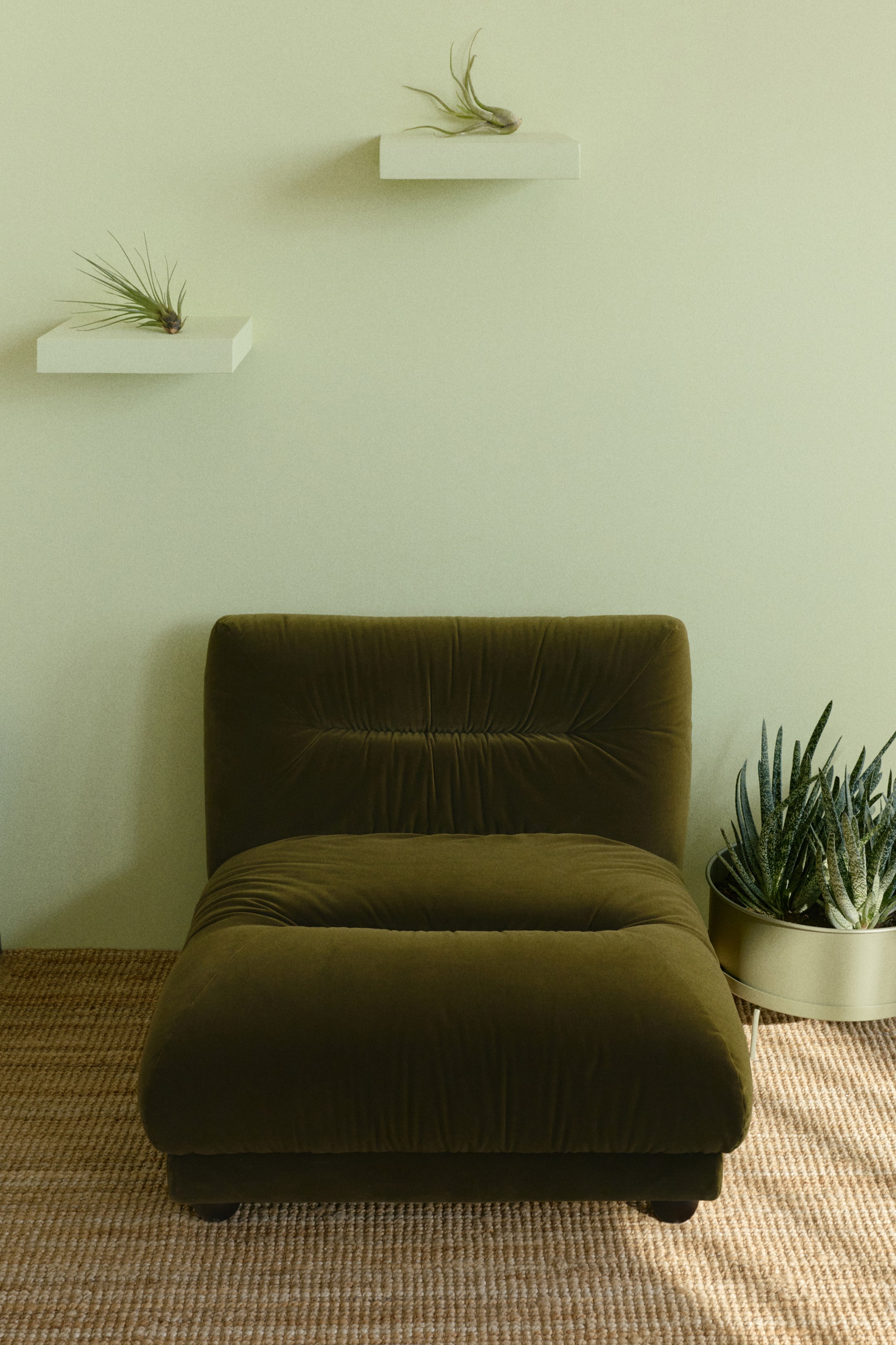 Zobraziť väčší obrázok: Tmavozelené olivové zamatové kreslo je otočené dopredu, má hlboko plisované operadlo a mäkké, nízko posadené sedadlo.