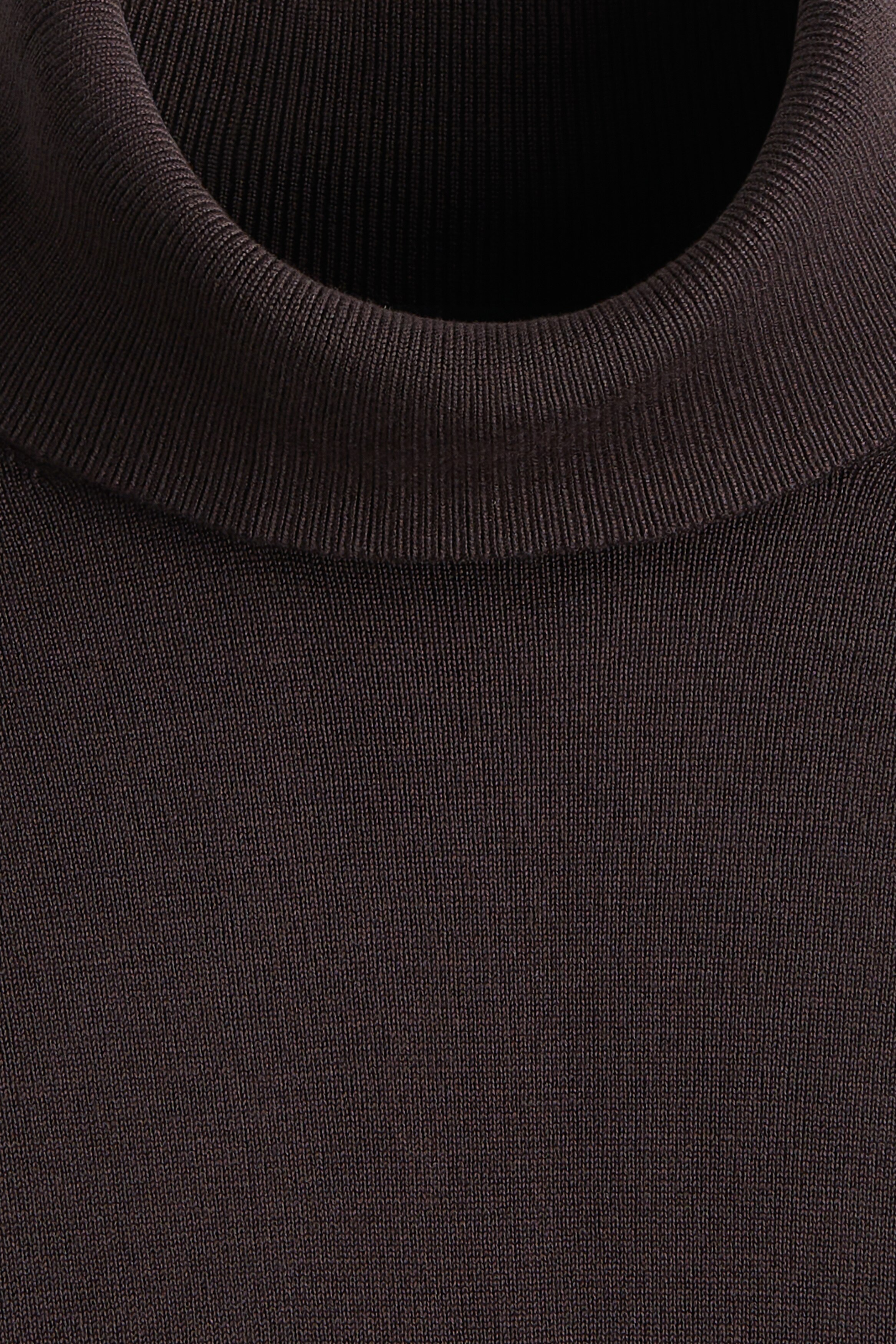 Regular Fit Polo-neck jumper