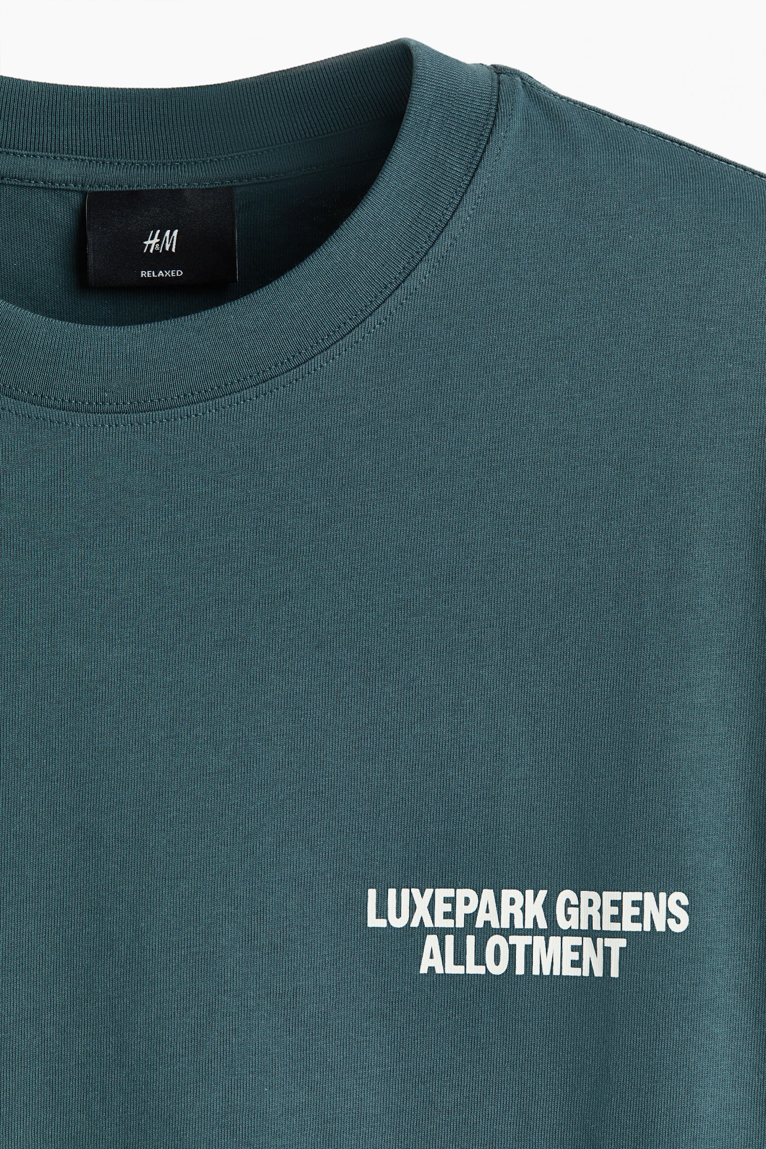 Loose Fit Printed T-shirt - Dark turquoise/Allotment/White/Landry's/Black/Brooklyn/Black/Keep the wild/Brown/Adapt/Brown/Sierra Crest Motors/Khaki green/Adapt/White/Flowever/Blue/San Diego/Black/Trust yourself/Black/Campioni Del Mondo/Black/Phys. Ed. Class/Brown/Street hoops/White/Red Rock/Turquoise/Emotional currents/Navy blue/Not All Things Lost - 6