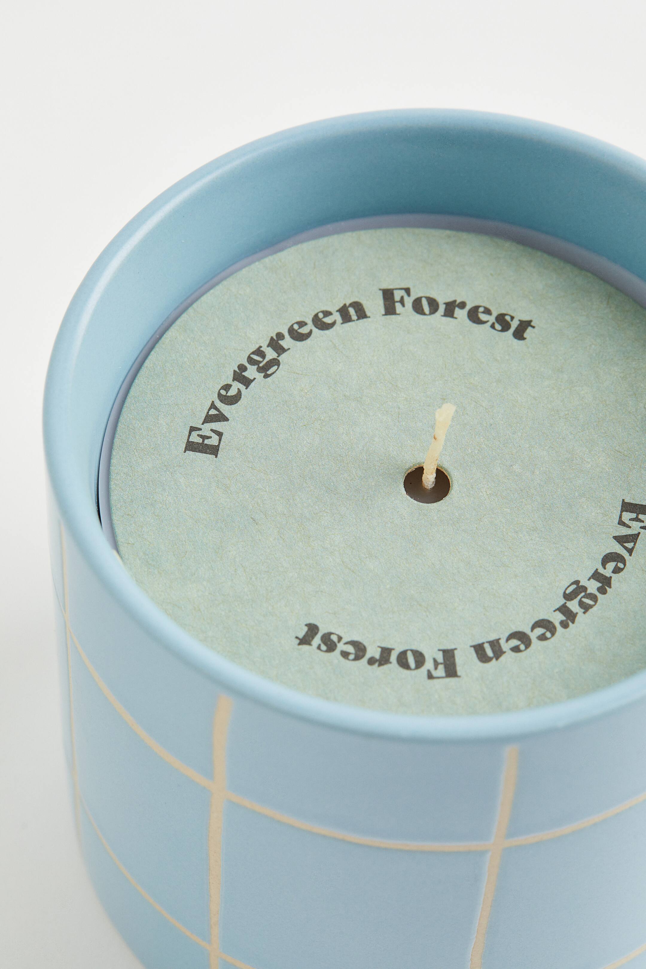 Scented Candle in Ceramic Holder Light blue/Evergreen Forest Home All H&M US