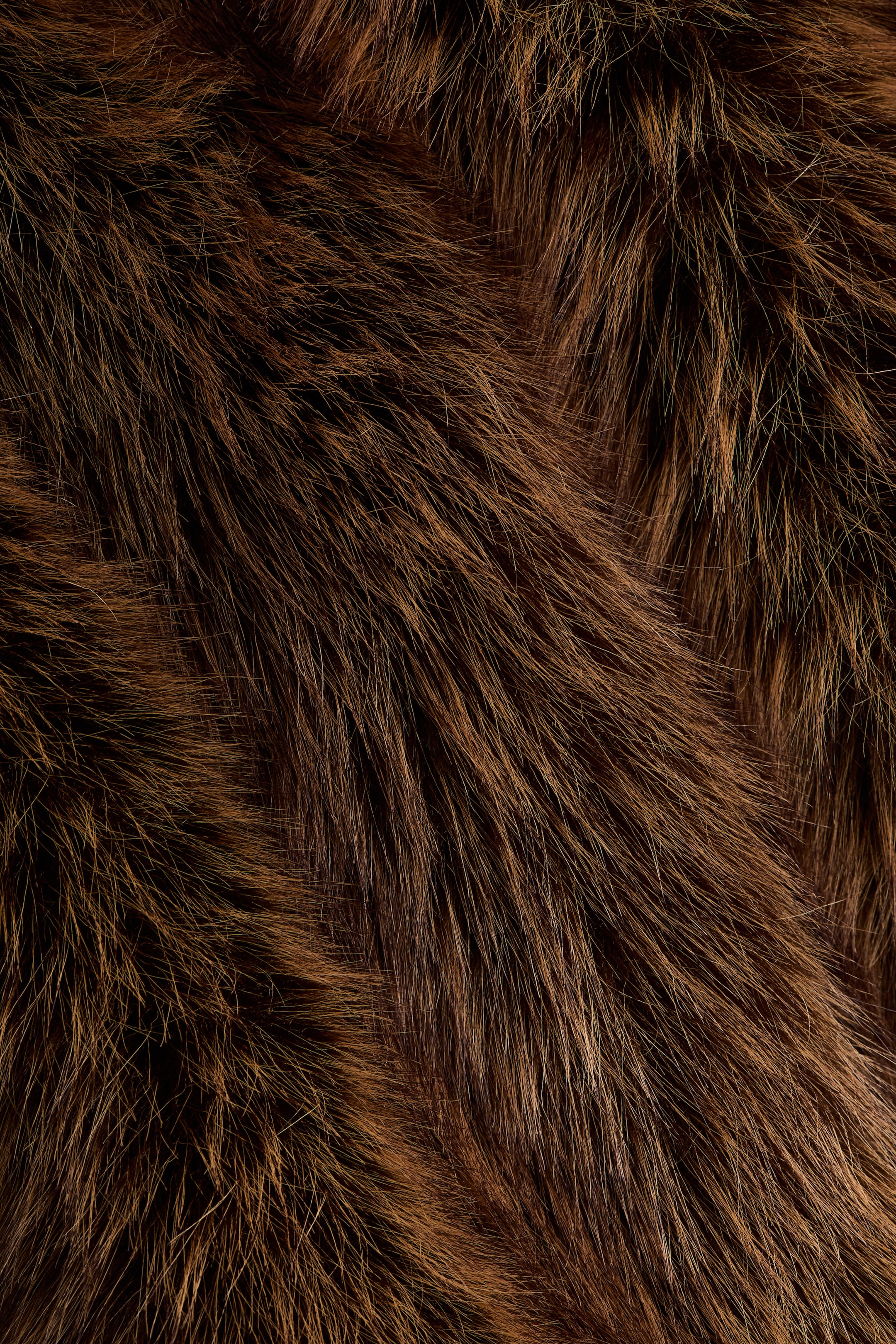 Ver imagen más grande: Abrigo de botonadura sencilla - Marrón - MUJER | H&M ES 7