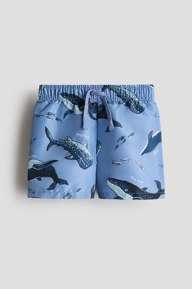 Calções de banho estampados - Azul claro/Baleias/Azul vivo/Riscas/Azul claro/Padrão/Azul/Padrão - 1