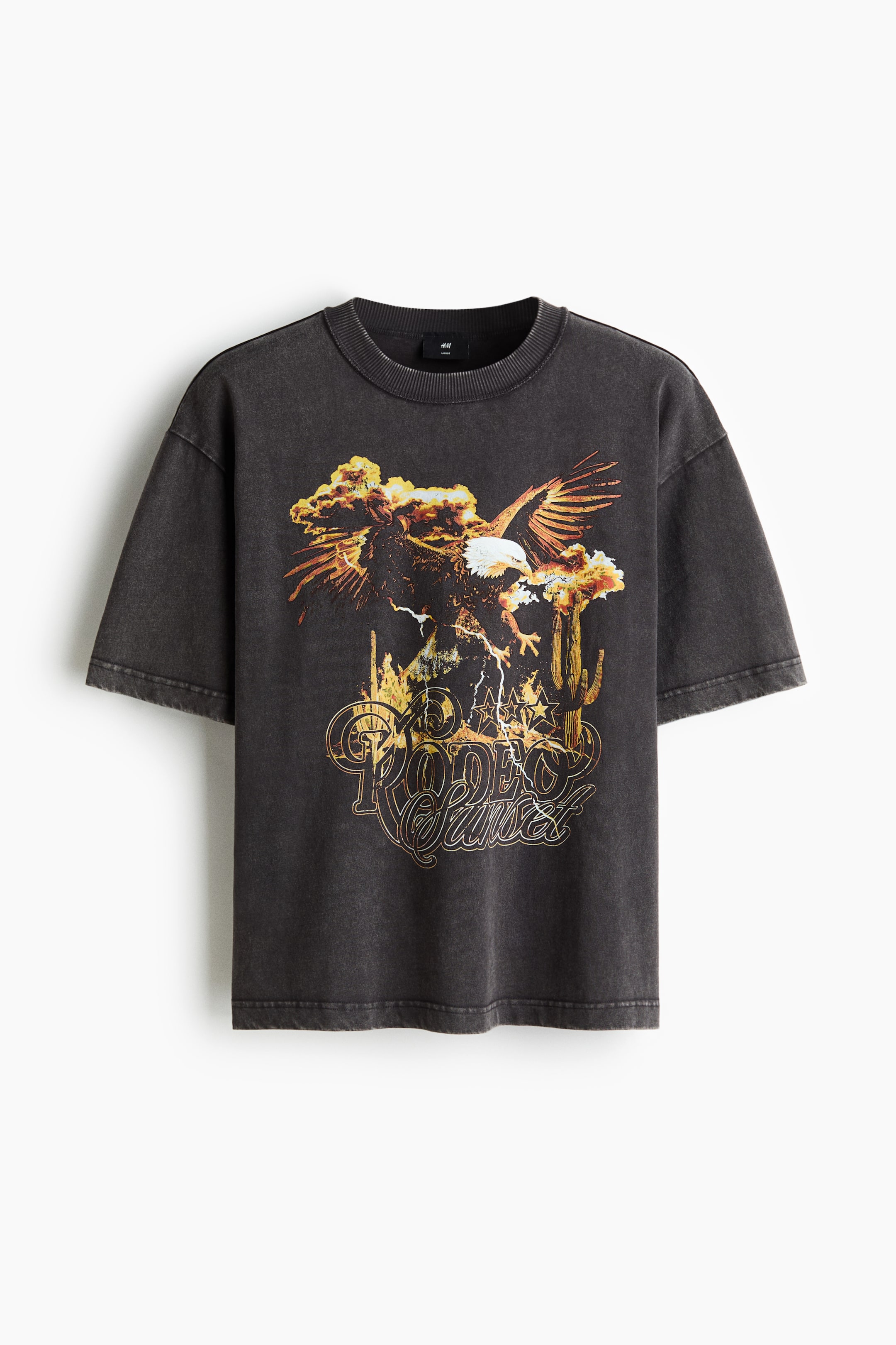 Xem ảnh lớn hơn: Áo thun in hình Loose Fit - Màu xám đậm/Rodeo Sunset - Men | H&M VN 5