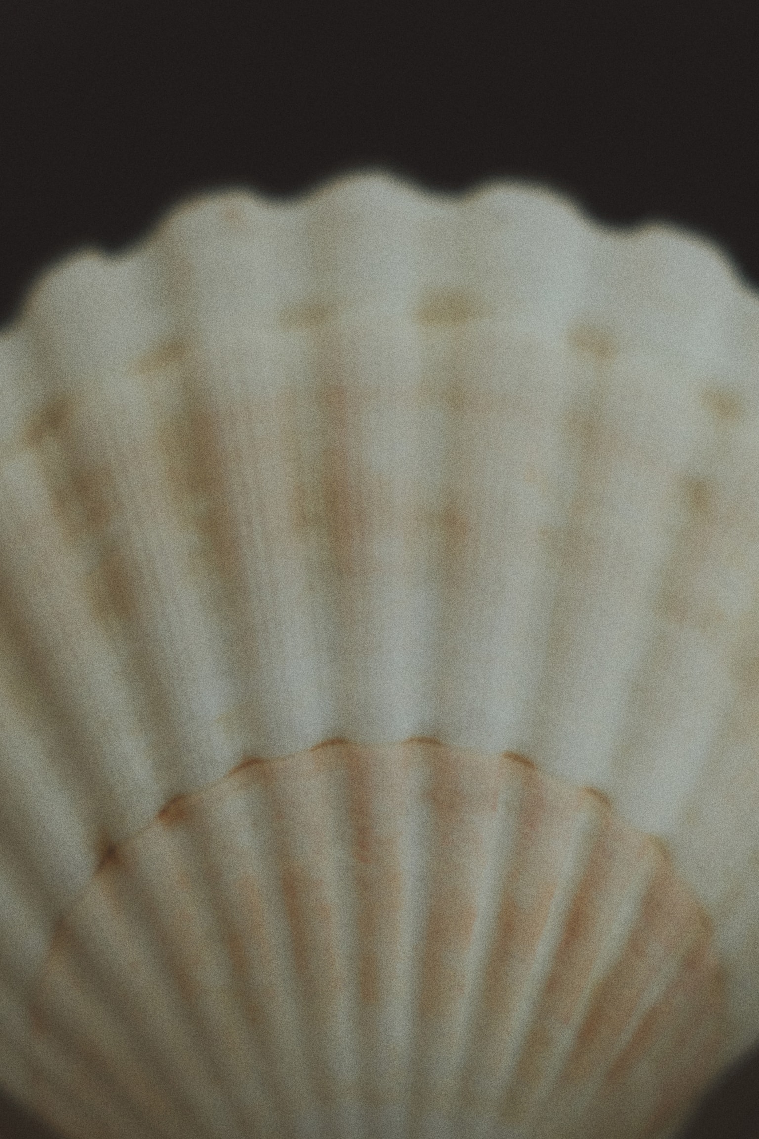 קערה עם רגל מפלדת אל חלד - כסוף - 5