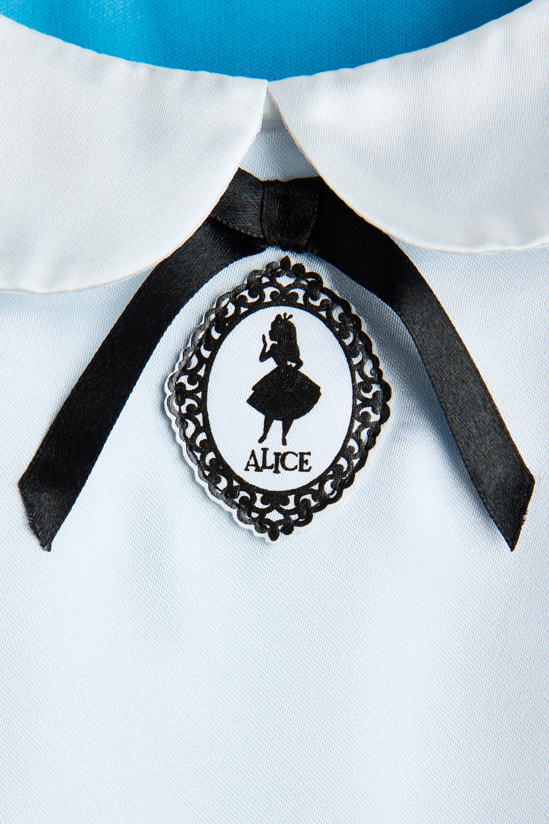 2-Piece Alice Costume