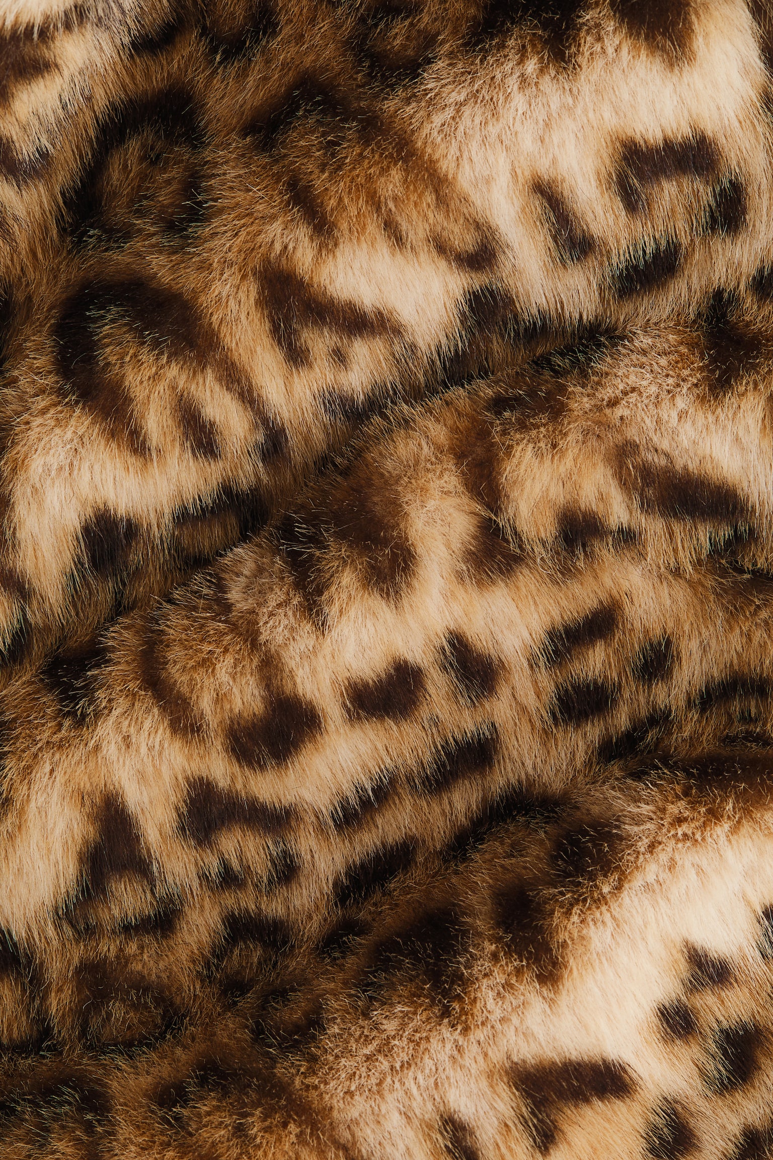 Shoulder-pad jacket - Beige/Leopard print - 5