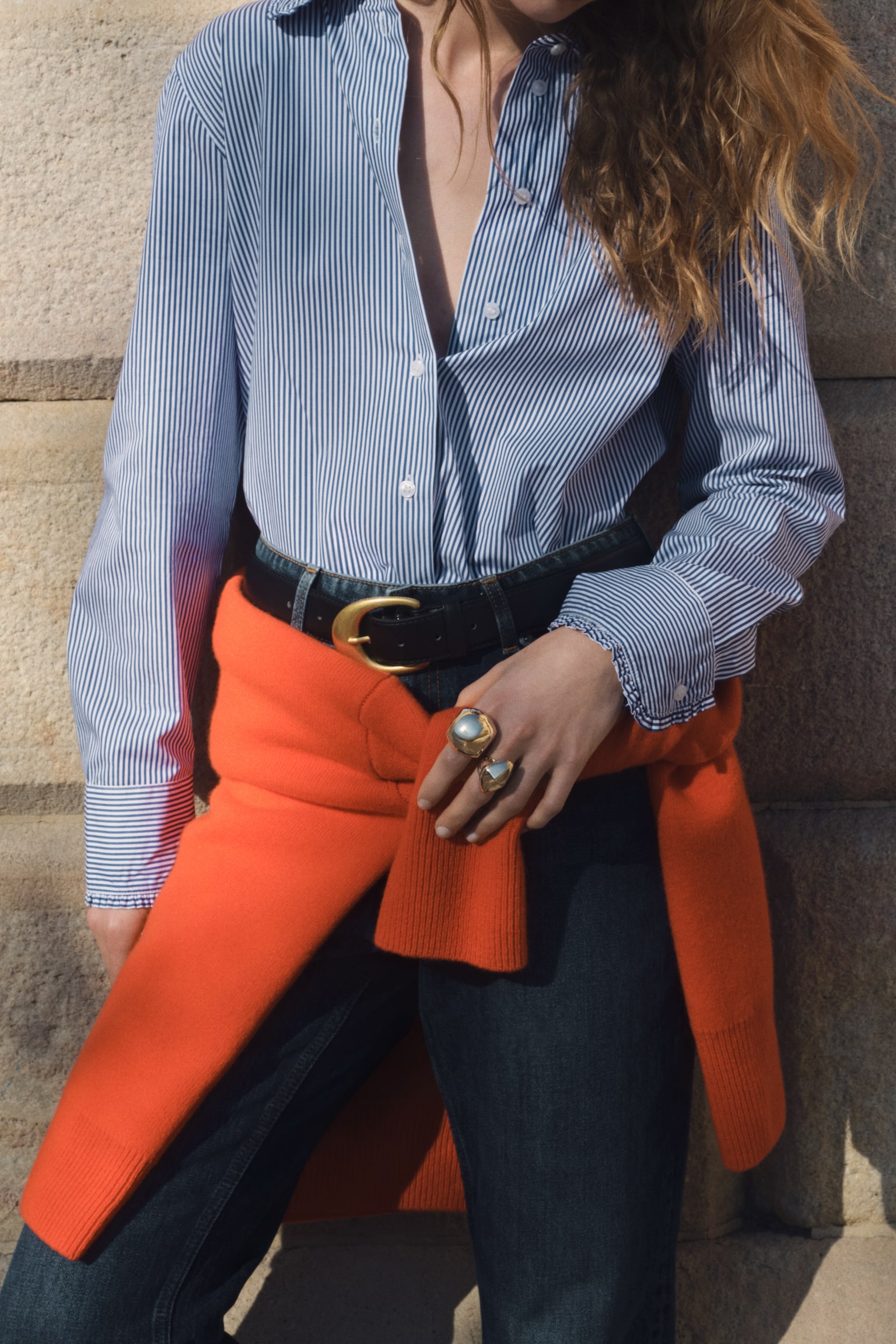 Cotton poplin shirt - Blue/Striped - 5