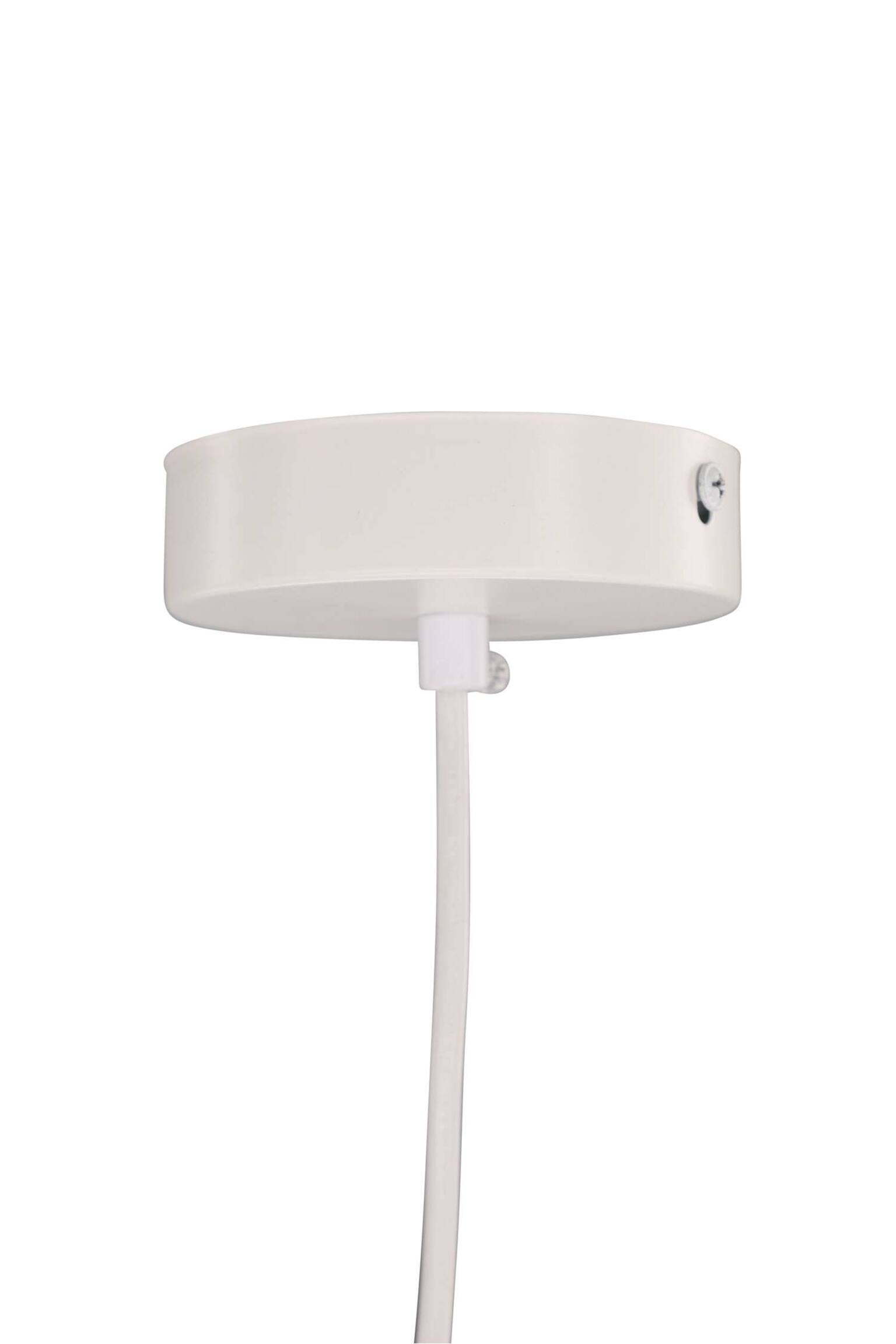 Tours Belysning - Rotting, Natur - 3