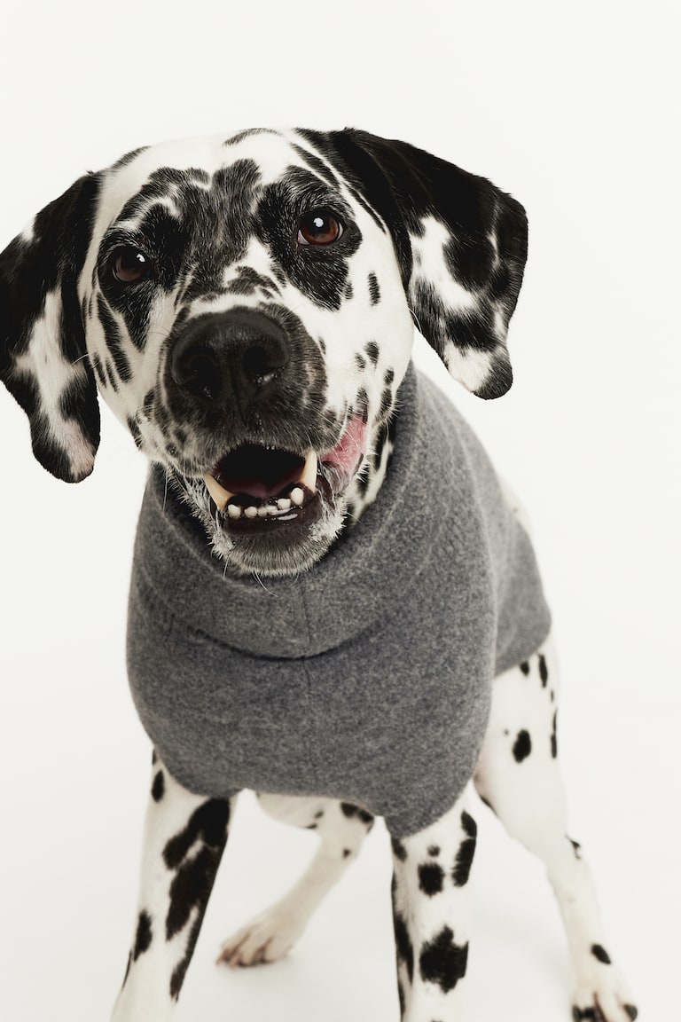 Jersey de punto para perro Gris jaspeado MUJER H&M ES
