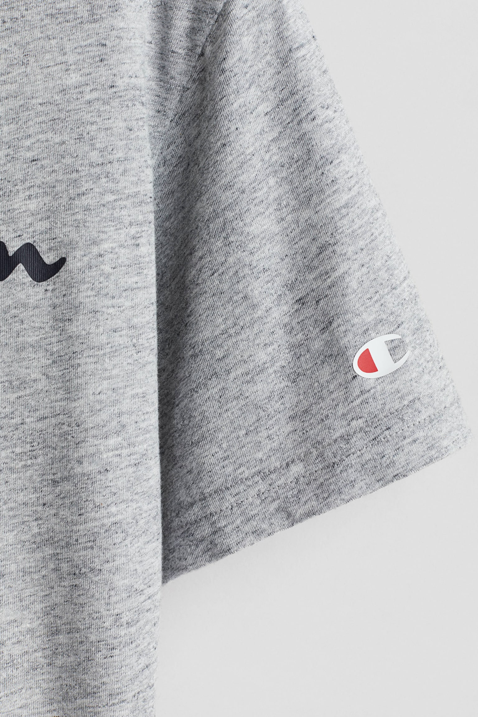 Ss Tee - Grau/Blau - 2