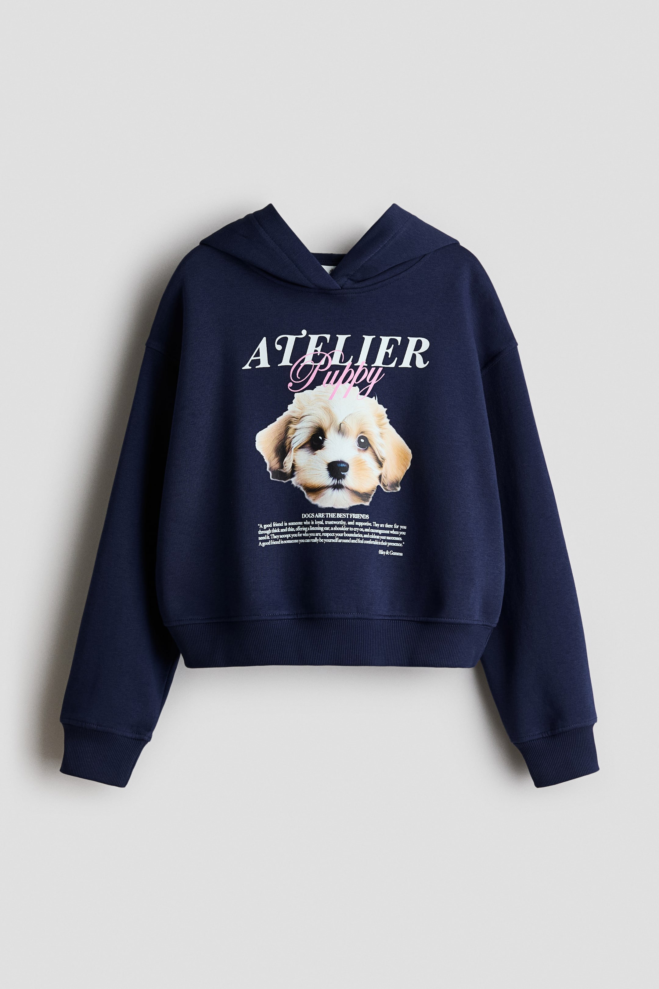 View larger image: Hoodie with Motif - Navy blue/Puppy - Kids | H&M CA 1