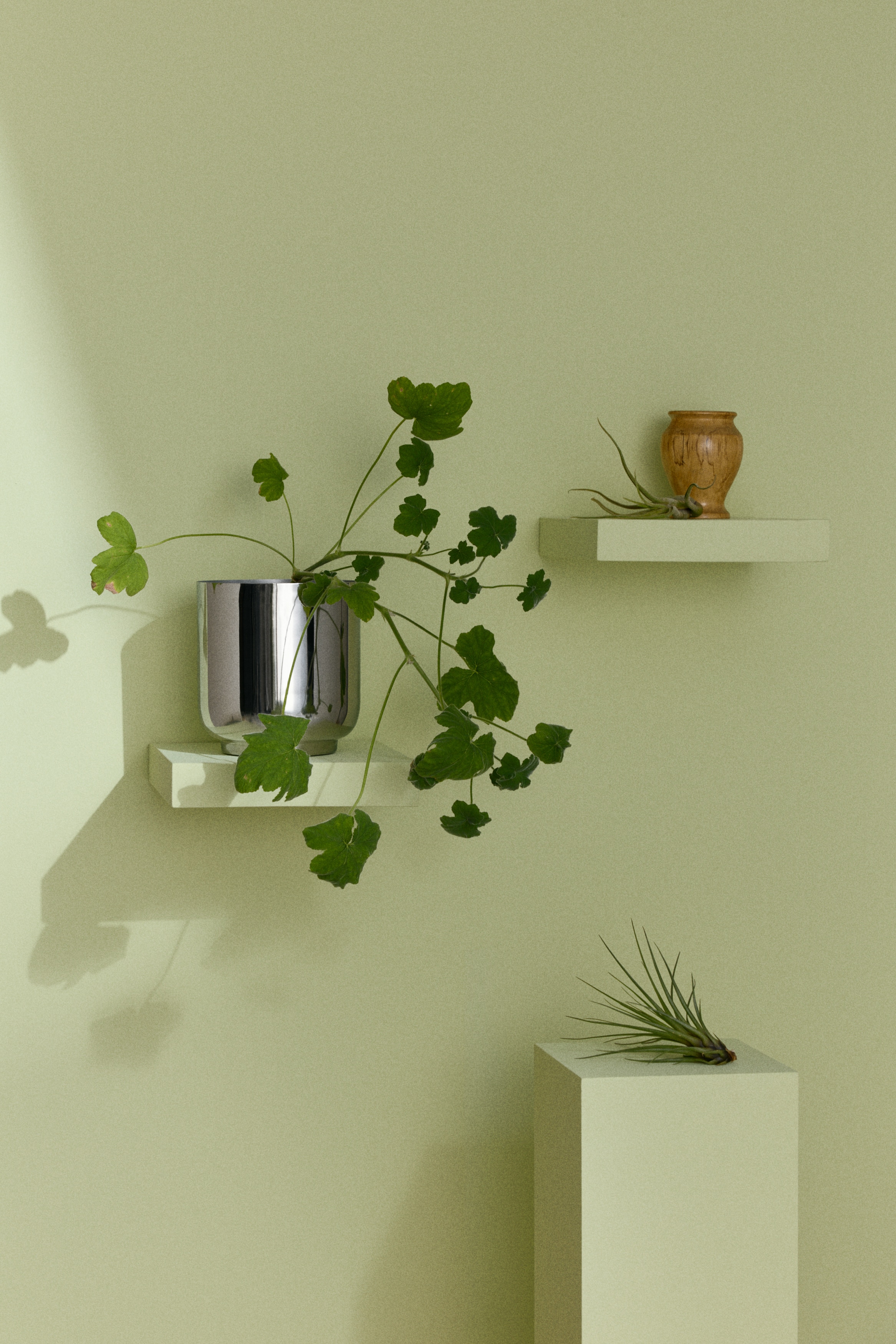 Stainless steel plant pot-Silver-coloured