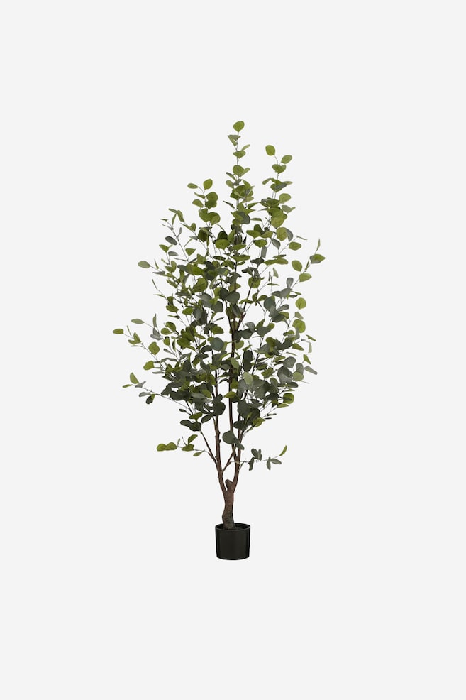 Eucalyptus Plante Artificielle - Vert - 1