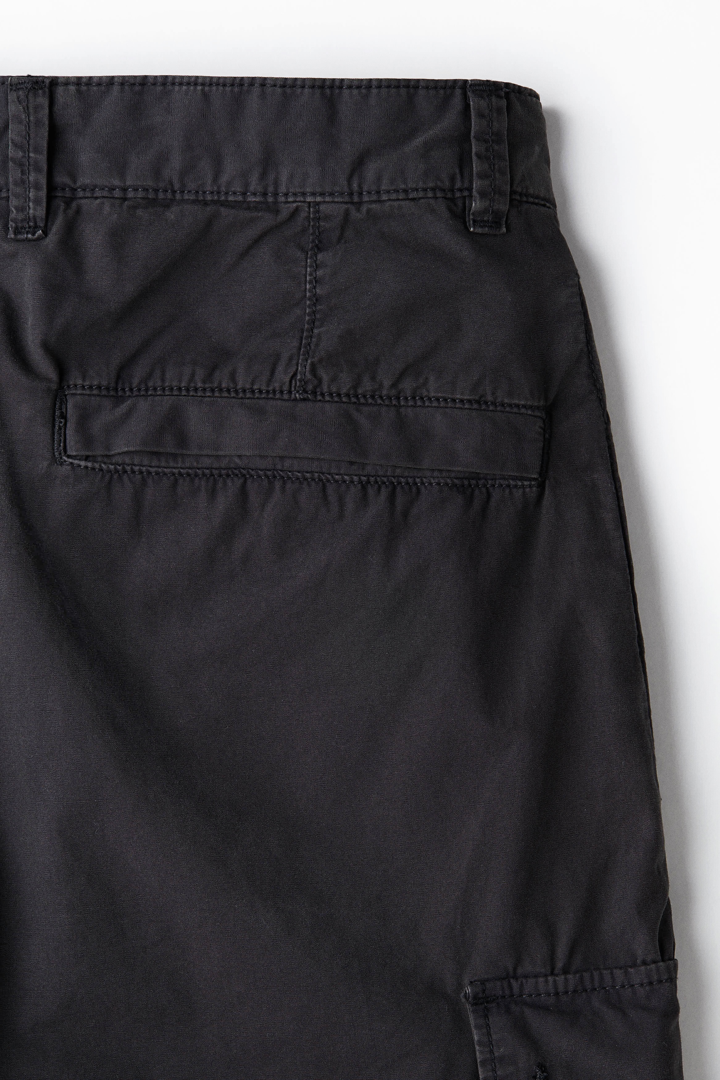 Regular Fit Cargo trousers