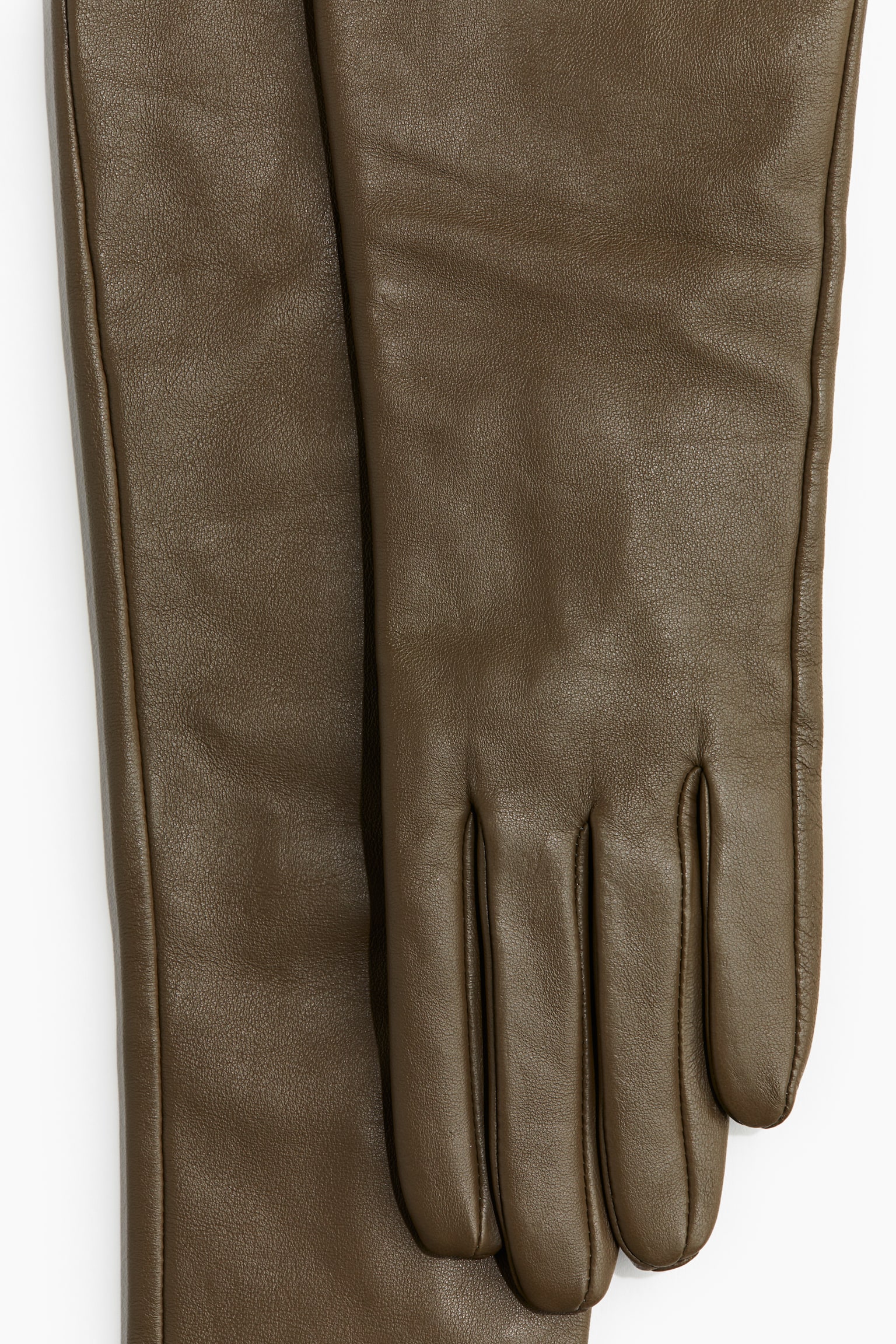 Long leather gloves - Brown-green/Brown - 2