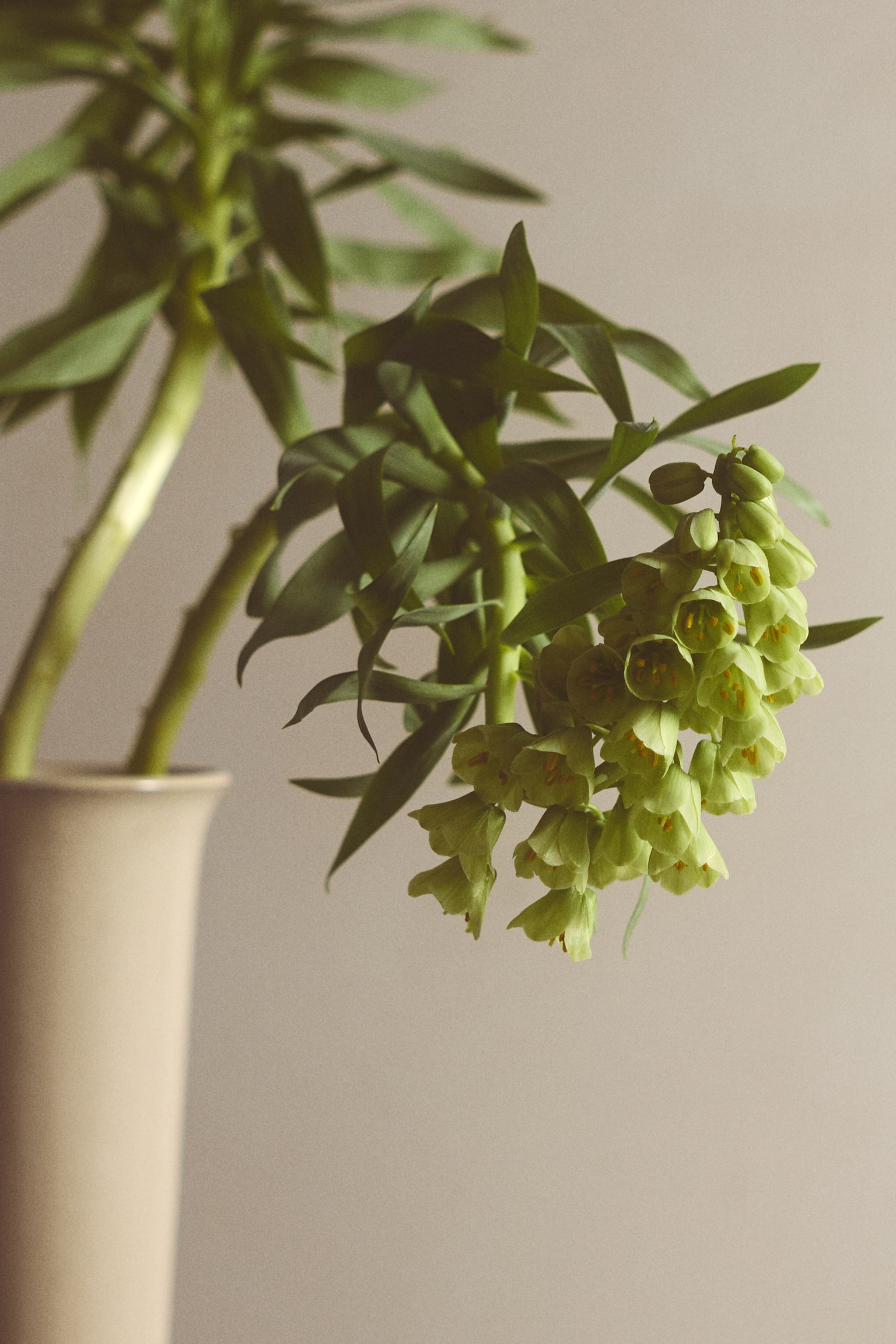 Grand vase en terre cuite avec glaçure réactive - Beige clair - 6