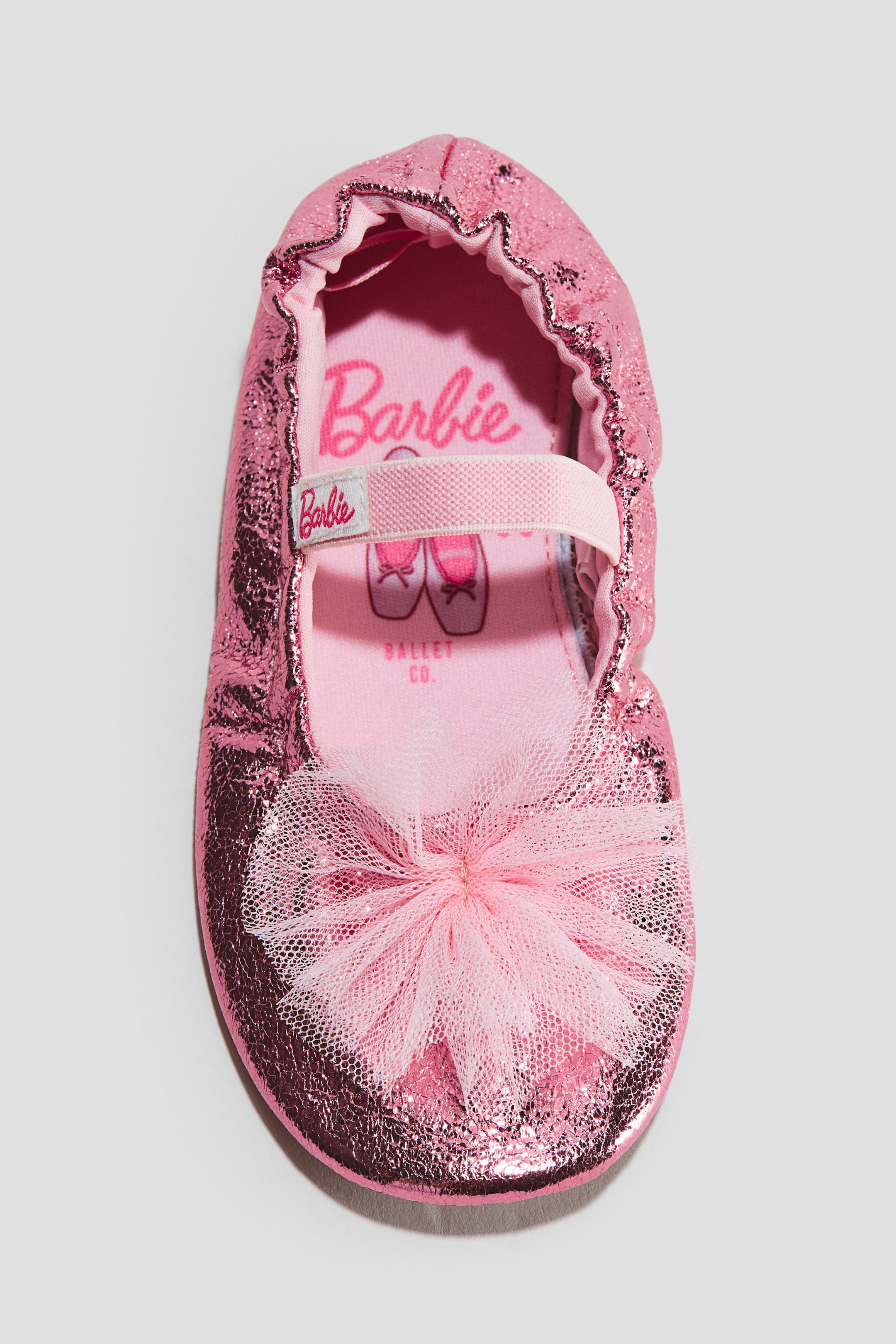 Shimmery Ballet Shoes
