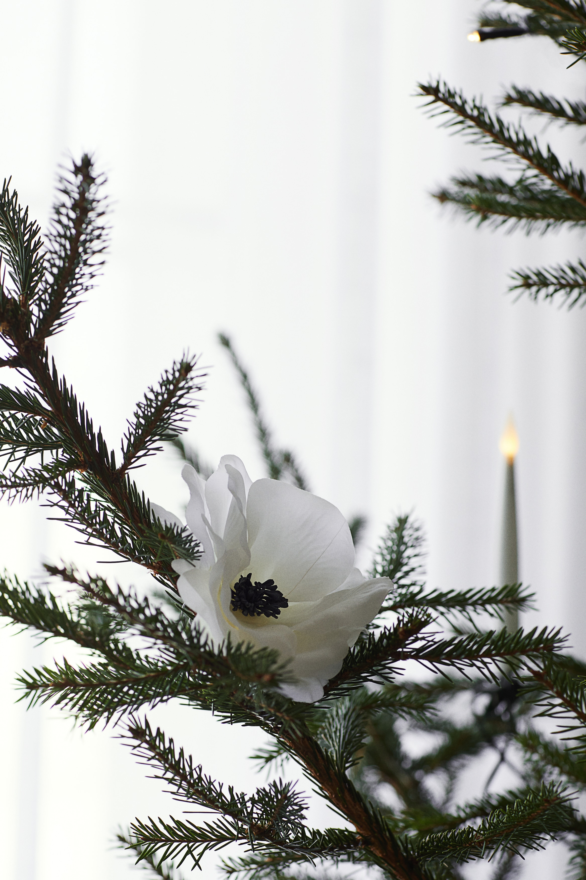 Décoration en forme de rose de Noël - Blanc/fleur/Rouge