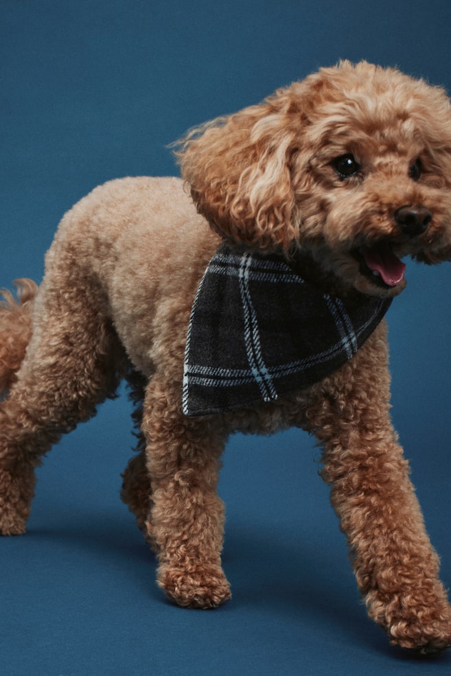 Dog Scarf - Dark gray/plaid/Pale pink/plaid - 6