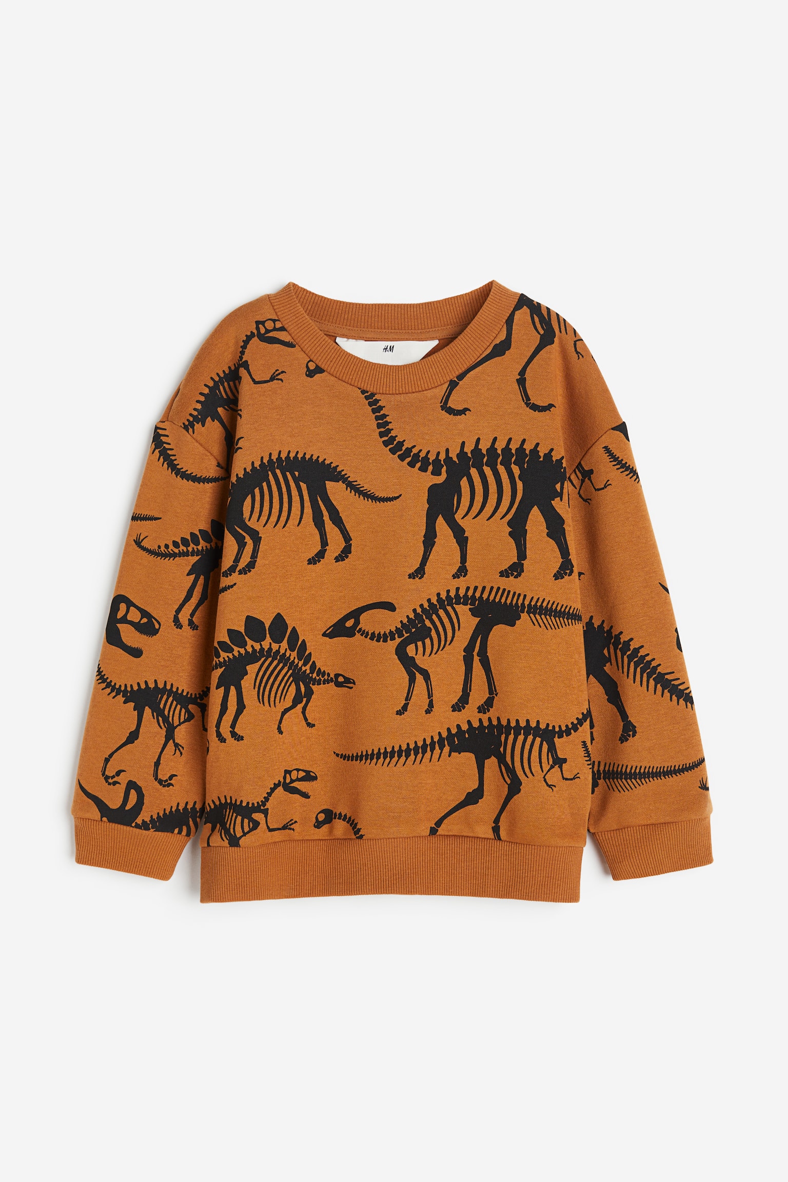 Sweater - Brown/Dinosaurs/White/Dinosaurs/Light yellow/Big Brother/Black/Los Angeles/Light beige/Pattern/Dark green/Little Brother/White/Tyrannosaurus rex/Green/Just Bee/Red/French Riviera - 1