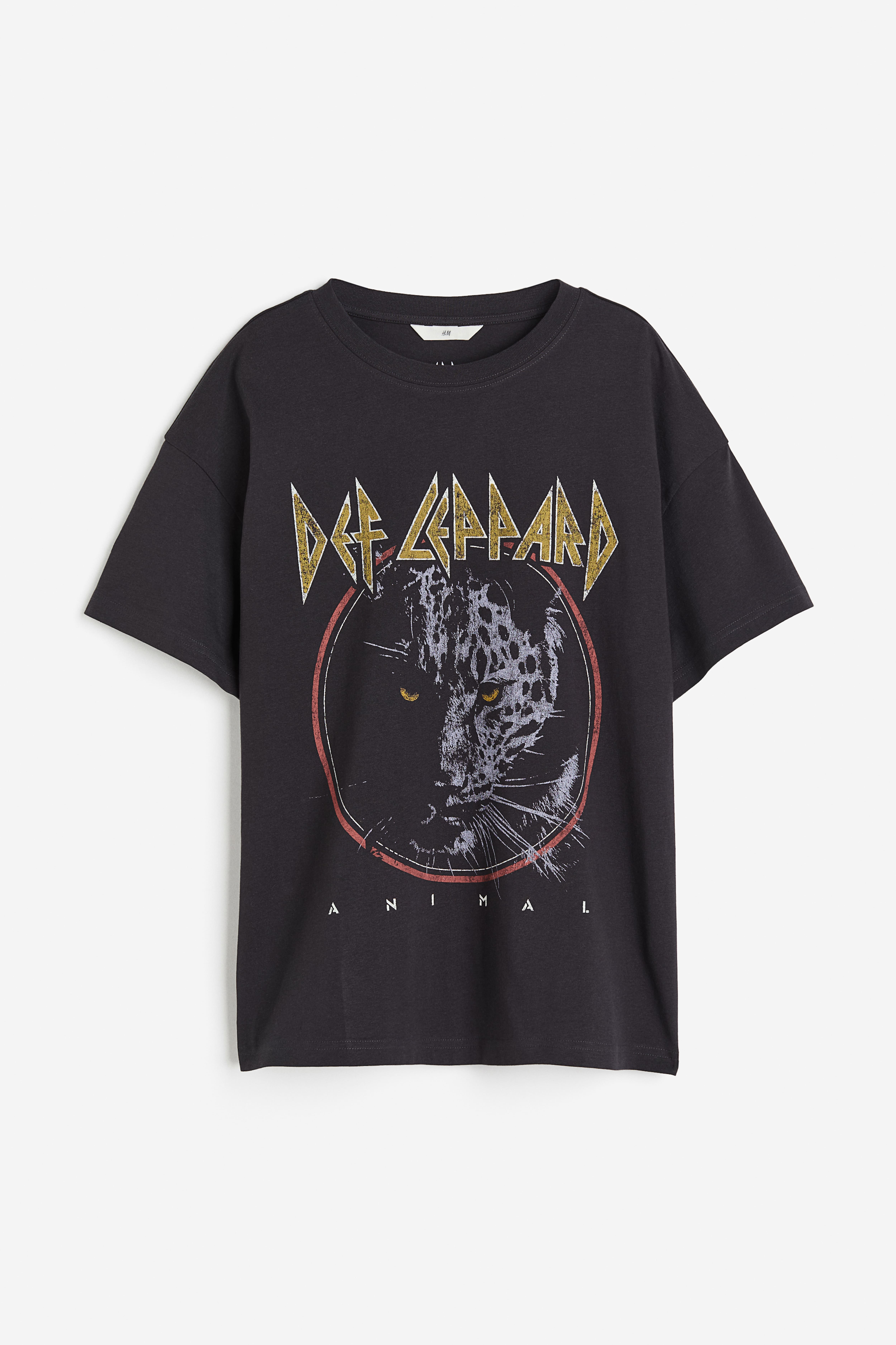 H&M Def store leppard Sweatshirt