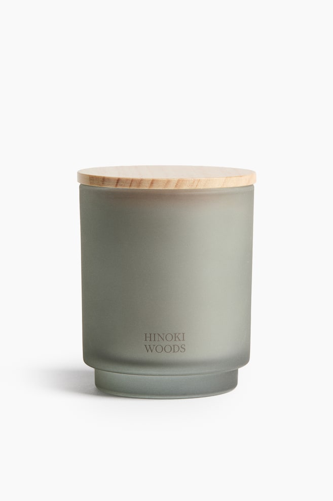 Frosted-Glass Scented Candle - Hinoki Woods/Salt Ritual/Patchouli Field/Lavender Mist - 1