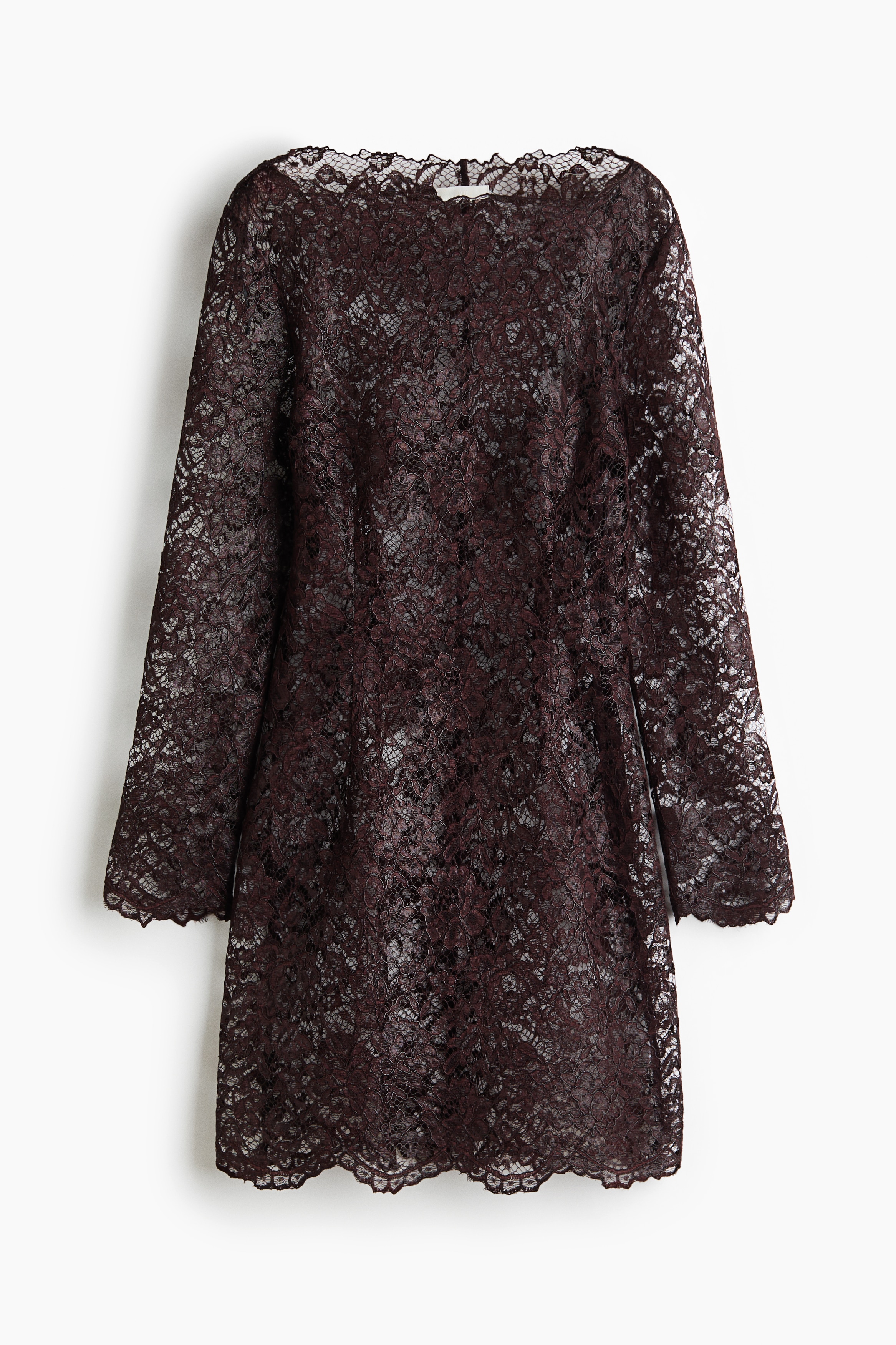 Boat-neck lace dressModel