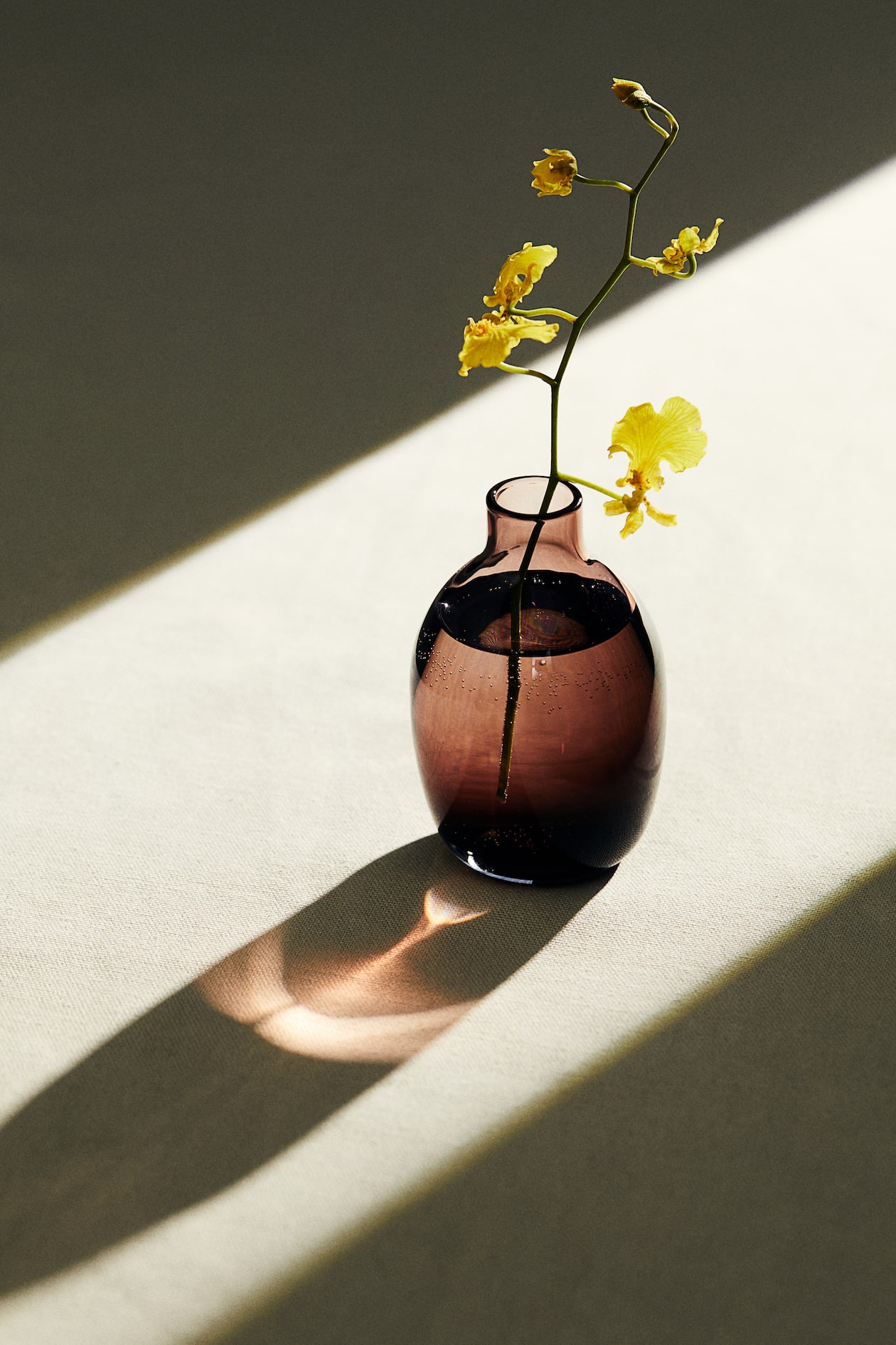Petit vase en verre - Marron foncé - Home All | H&M FR