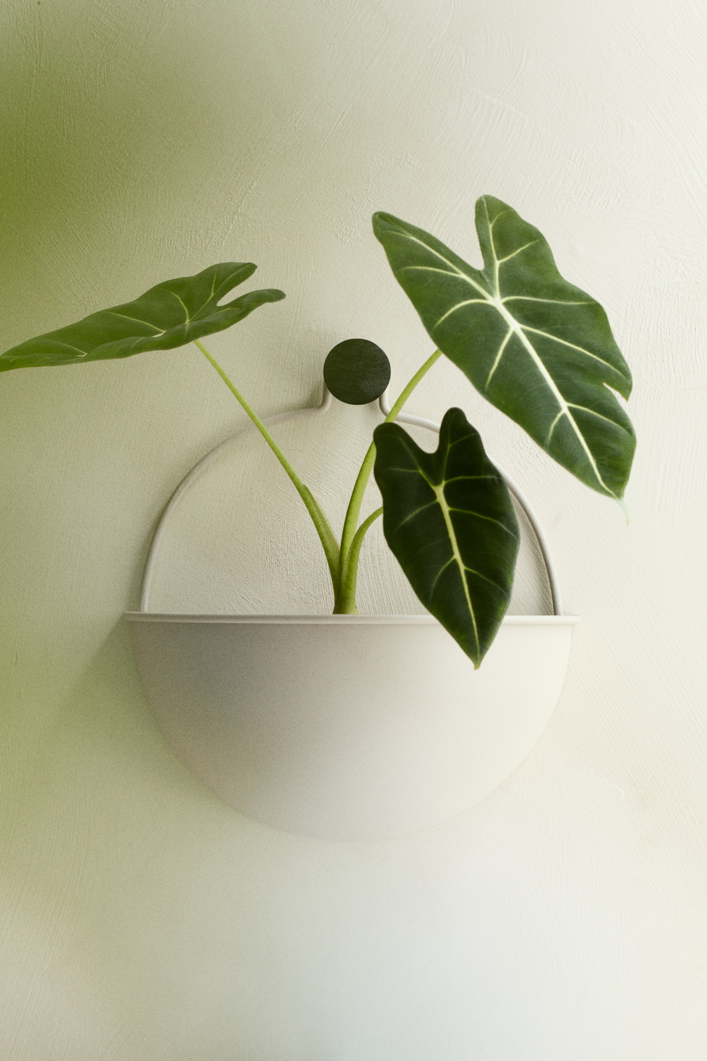 Wall-Mount Plant Pot - Light beige/Olive green/Black