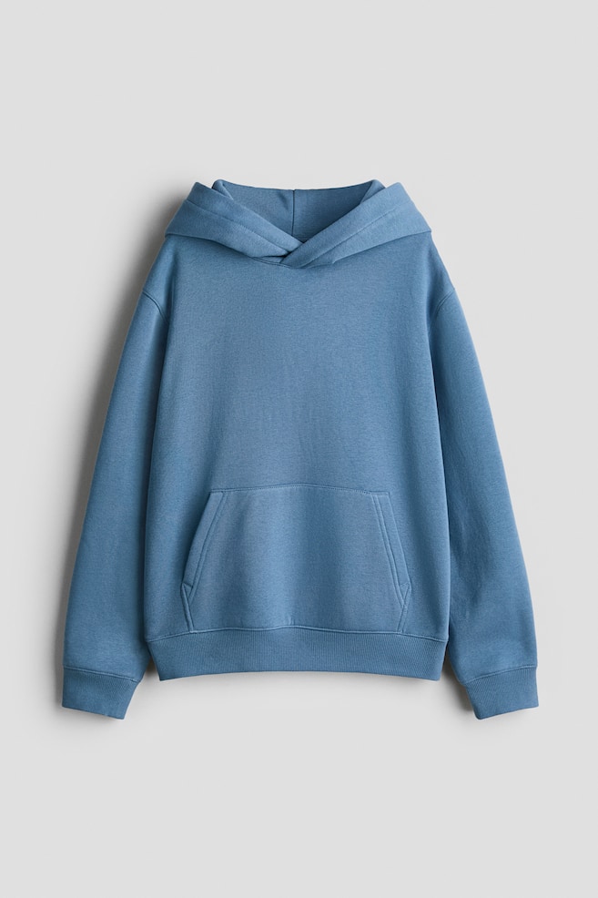 Hoodie - Blue/Light gray melange/Navy blue/Dark green/Black/Green/Light dusty blue/Light green/Beige - 1