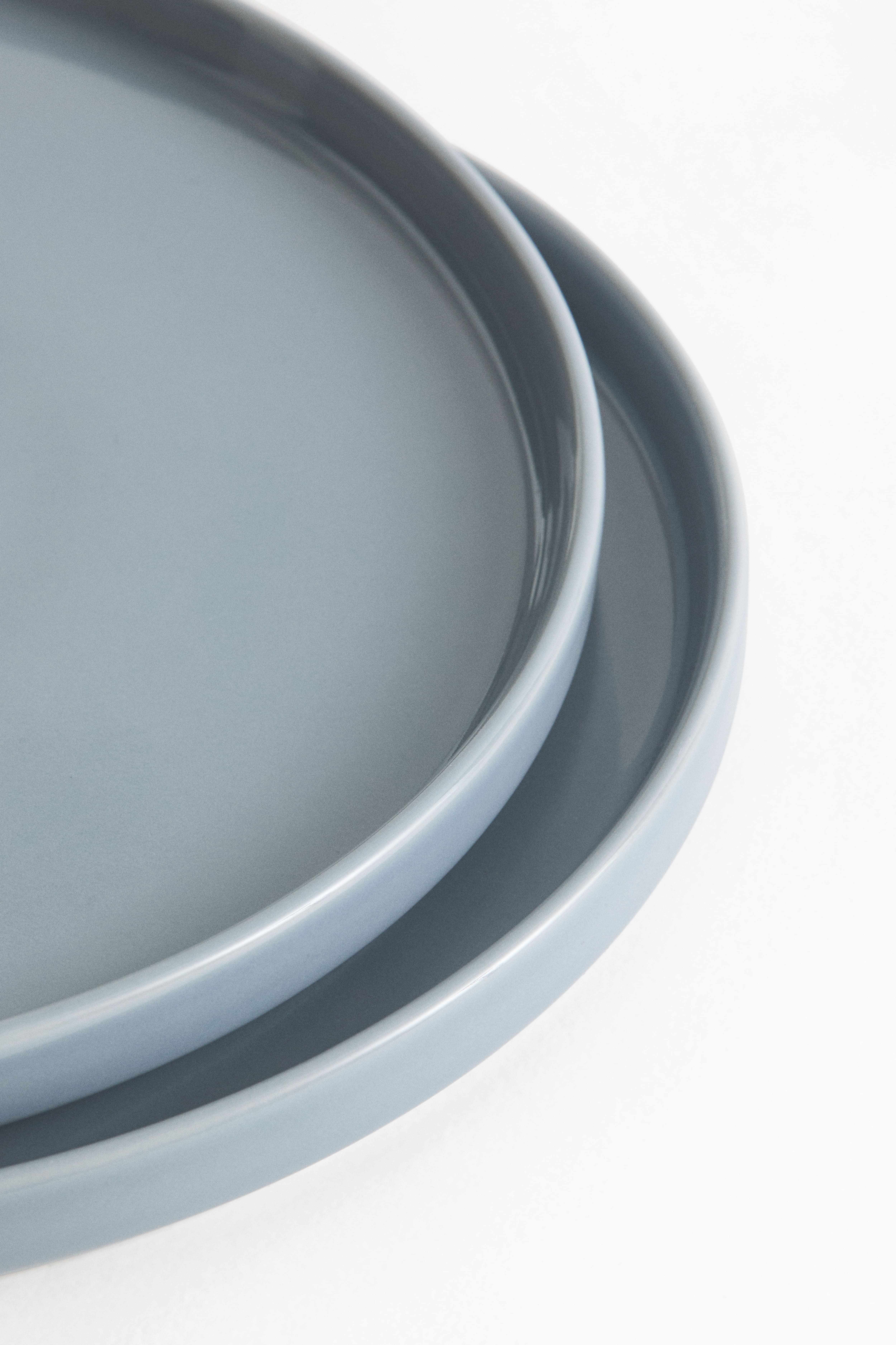2-Pack Stoneware Dinner Plates