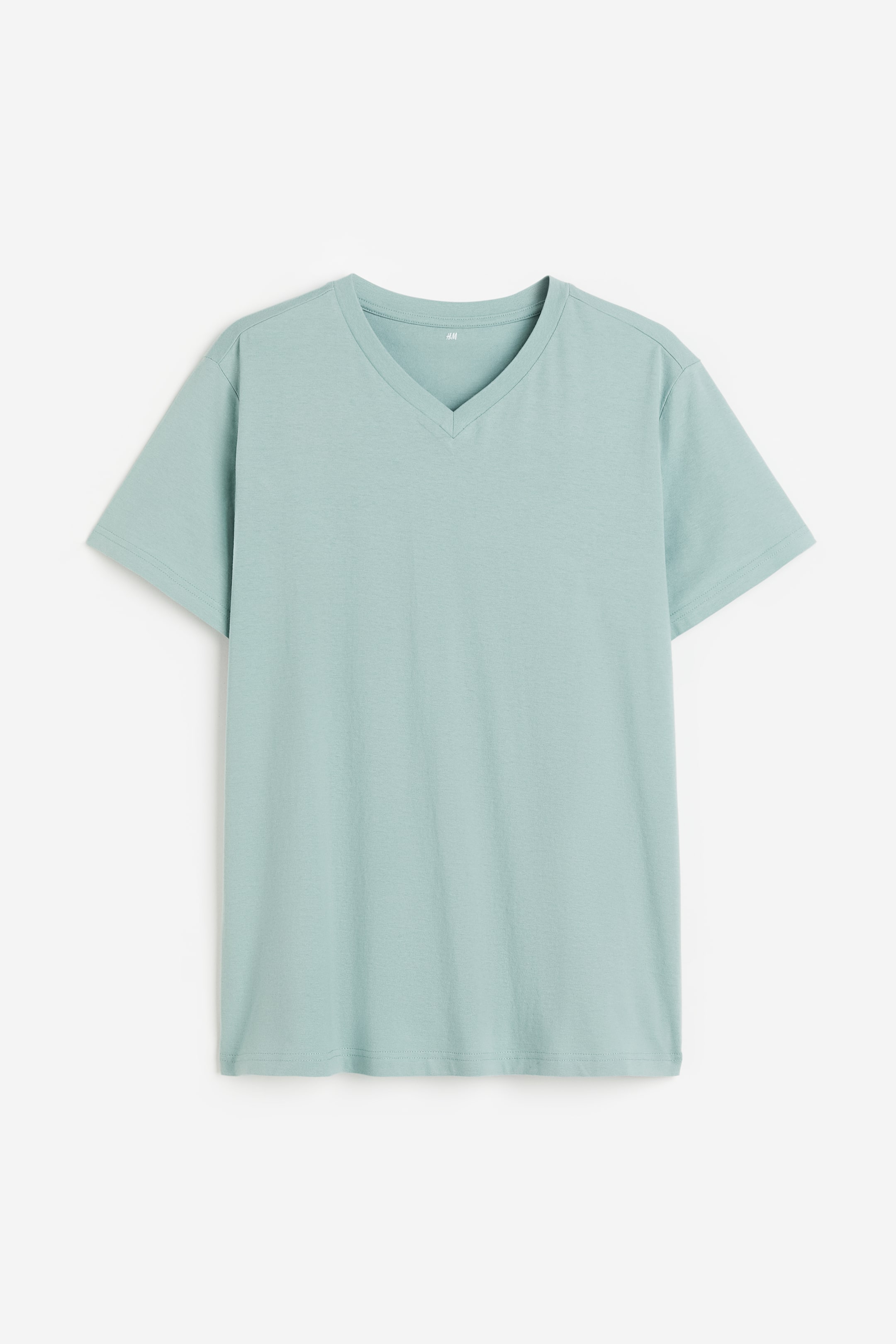 Regular Fit V-neck T-shirt